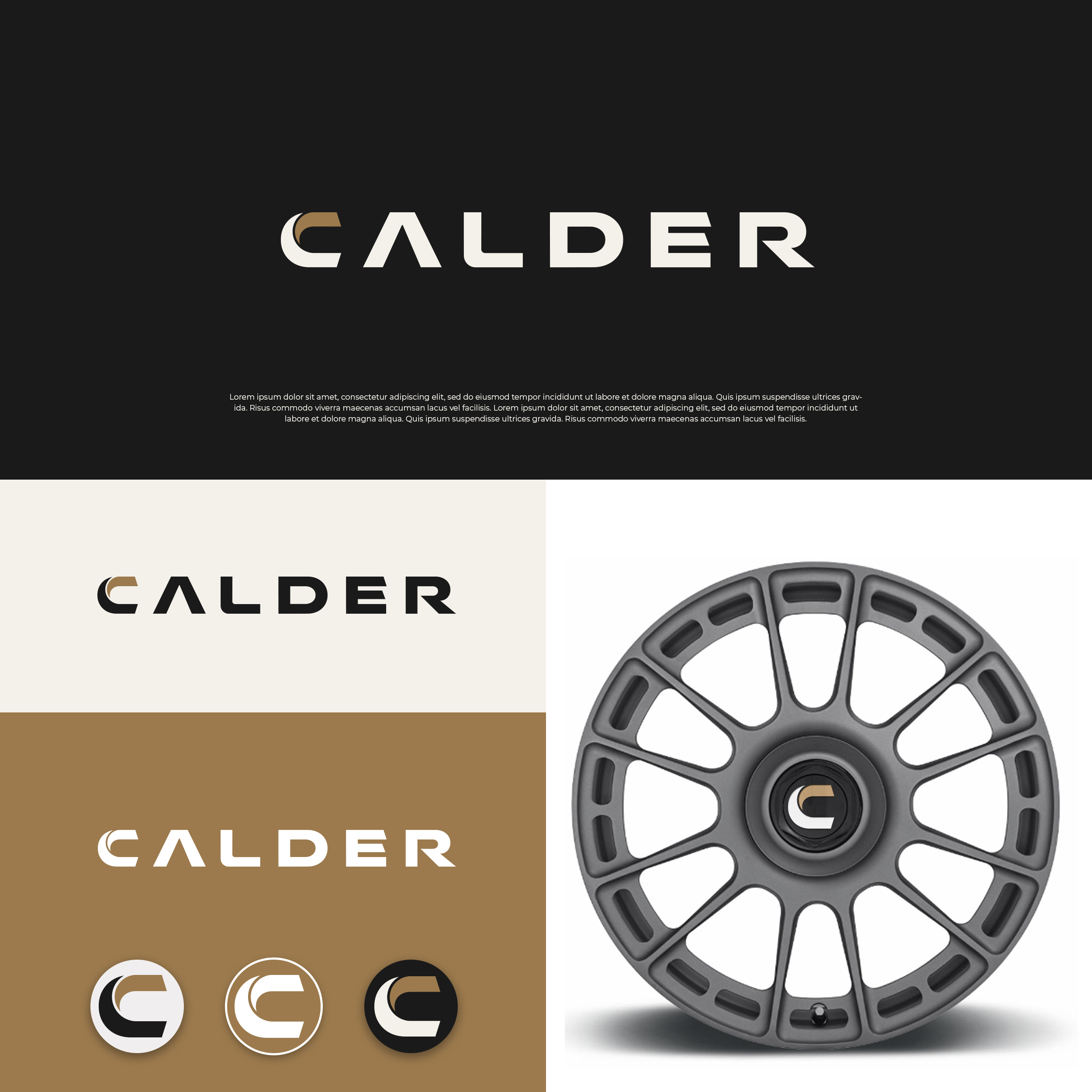 Logo Design by DesignUniq for SPEED AND STYLE | Design #37414767