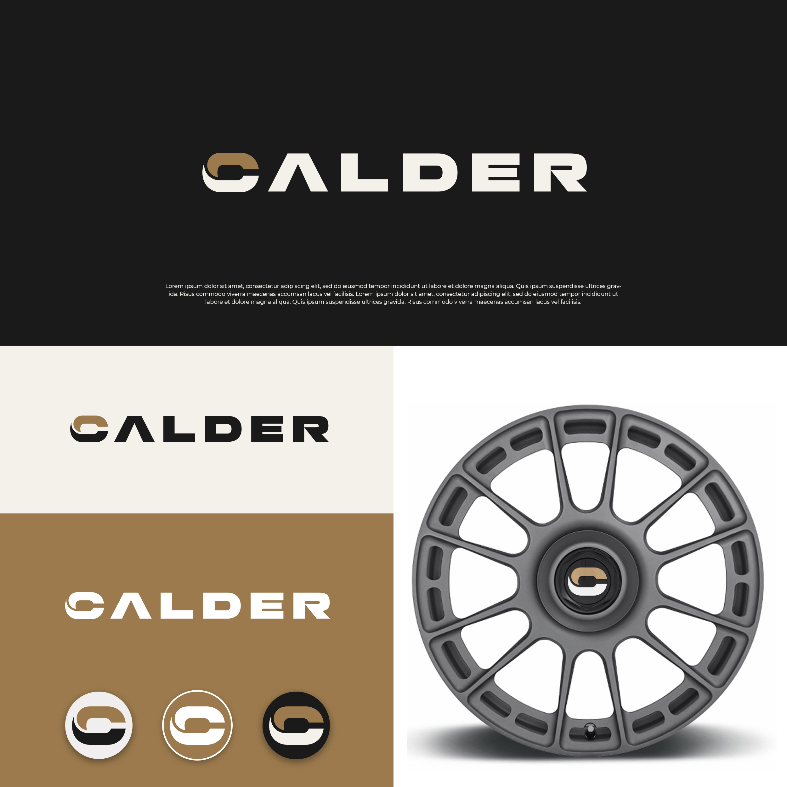 Logo Design by DesignUniq for SPEED AND STYLE | Design #37419077