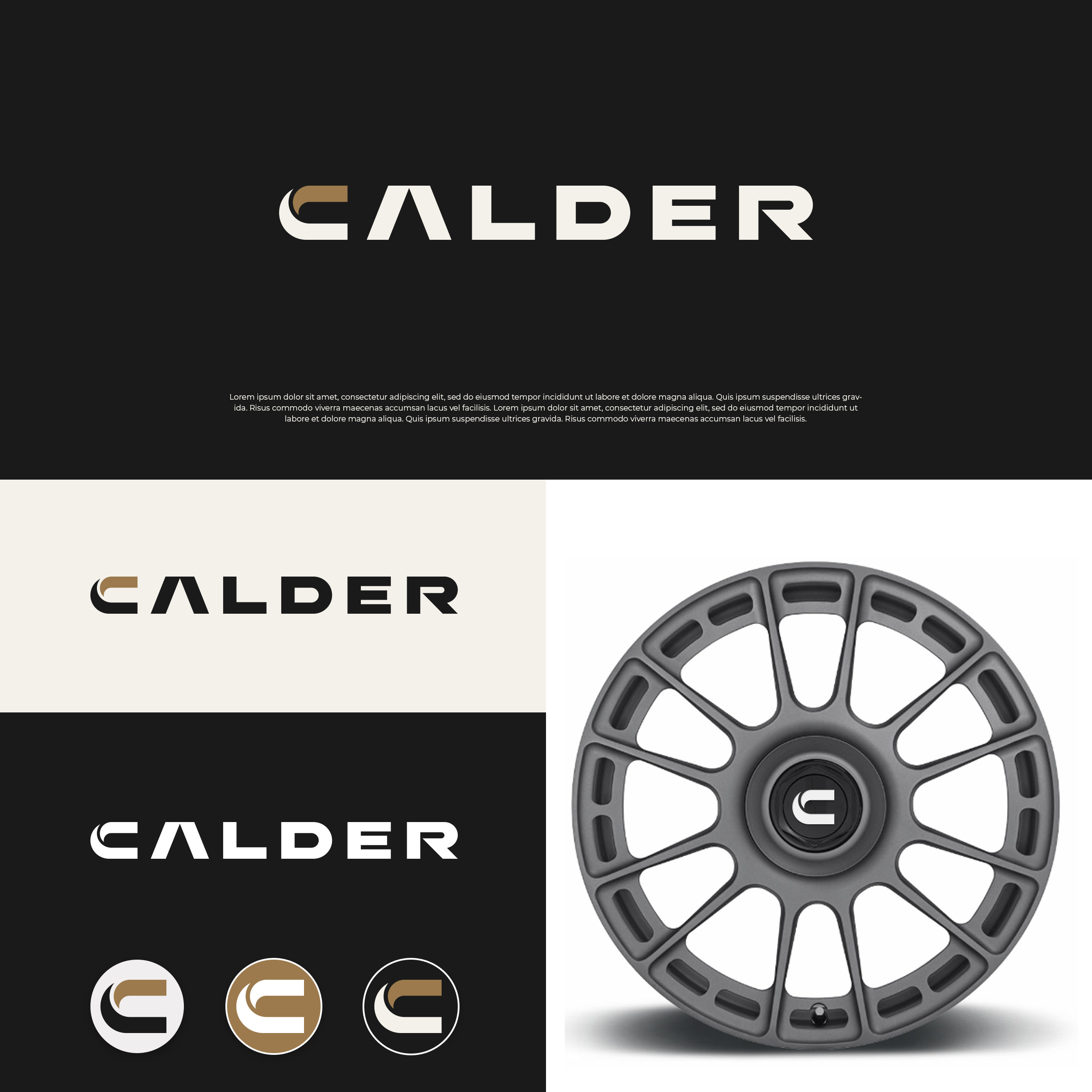 Logo Design by DesignUniq for SPEED AND STYLE | Design #37422348