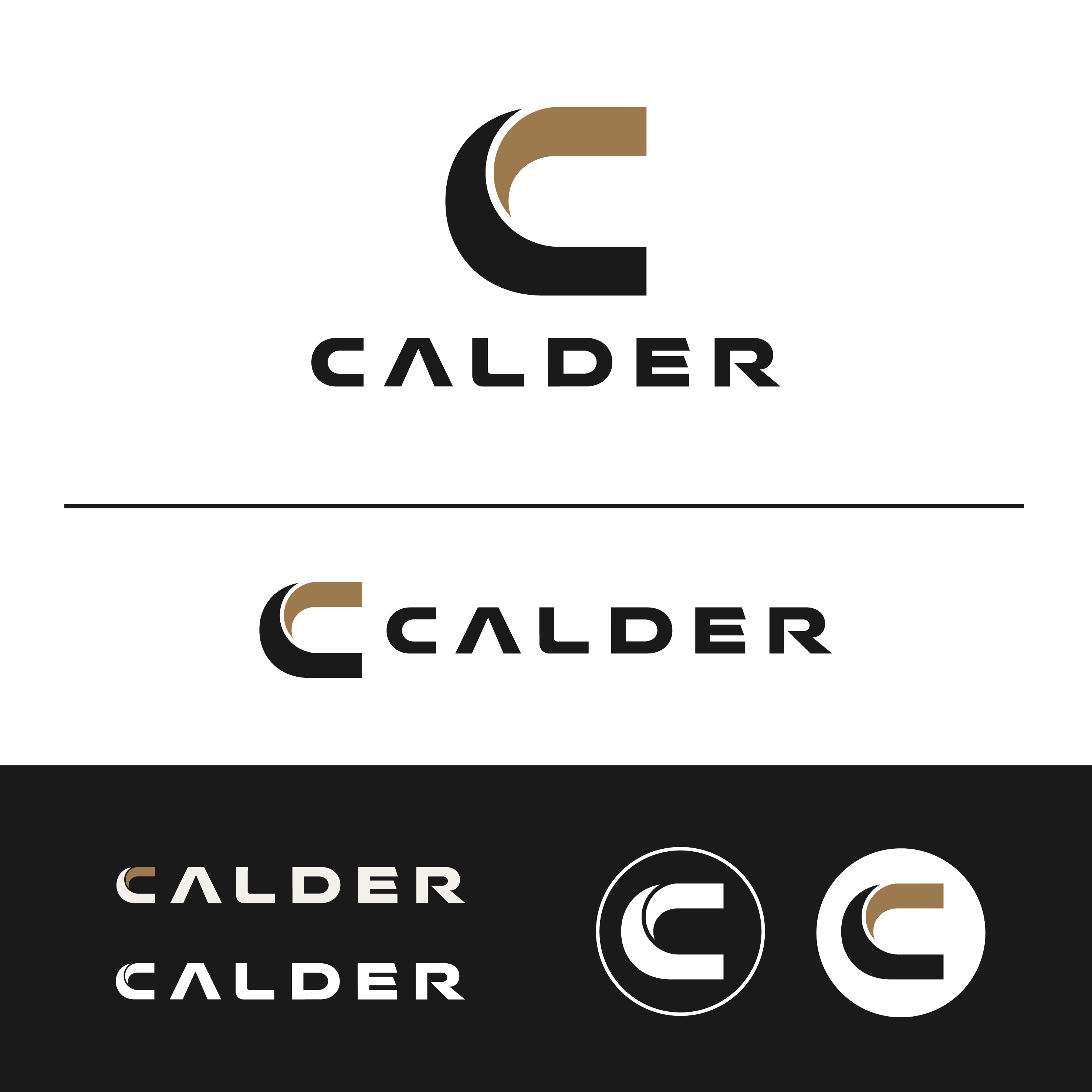 Logo Design by DesignUniq for SPEED AND STYLE | Design #37430354