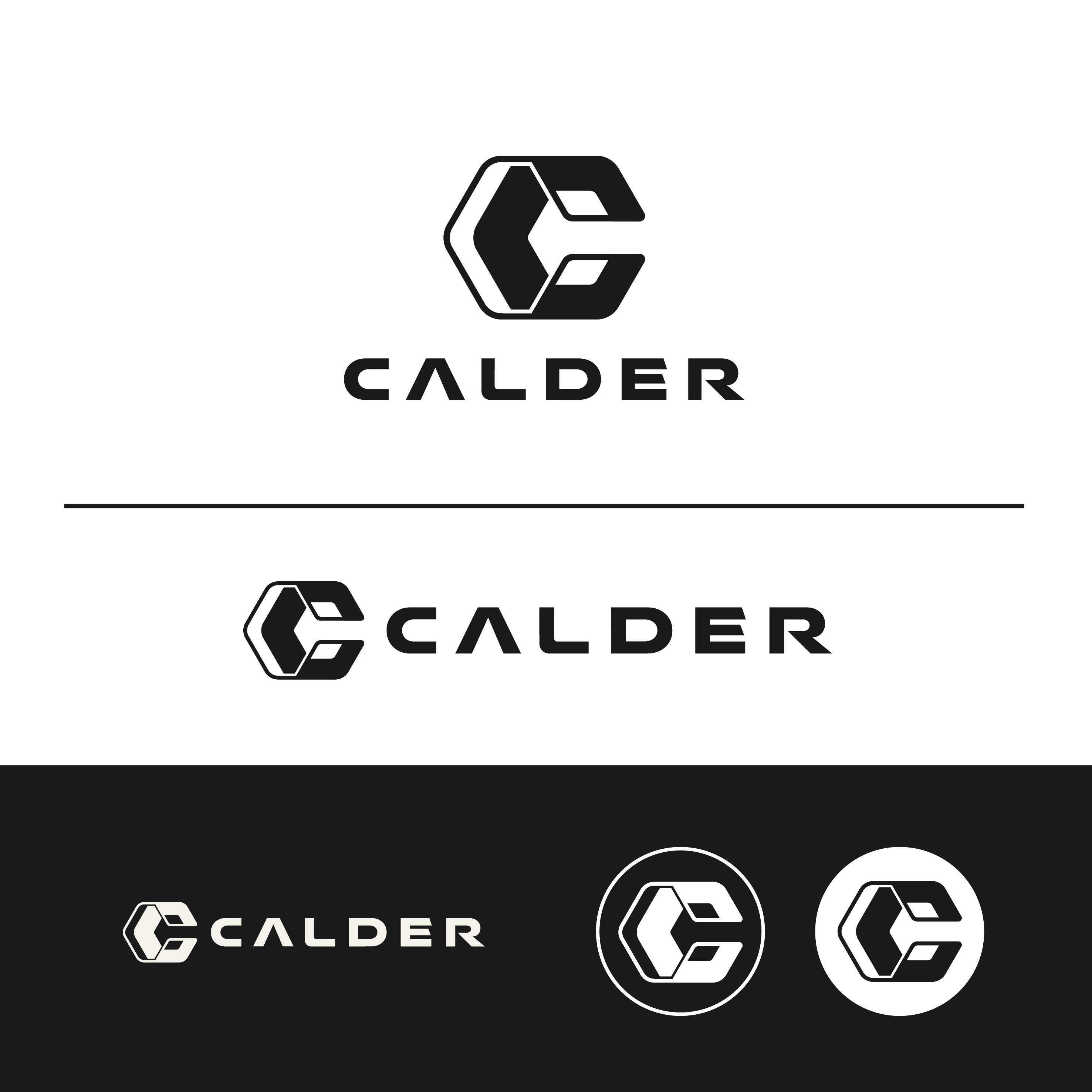 Logo Design by DesignUniq for SPEED AND STYLE | Design #37430434