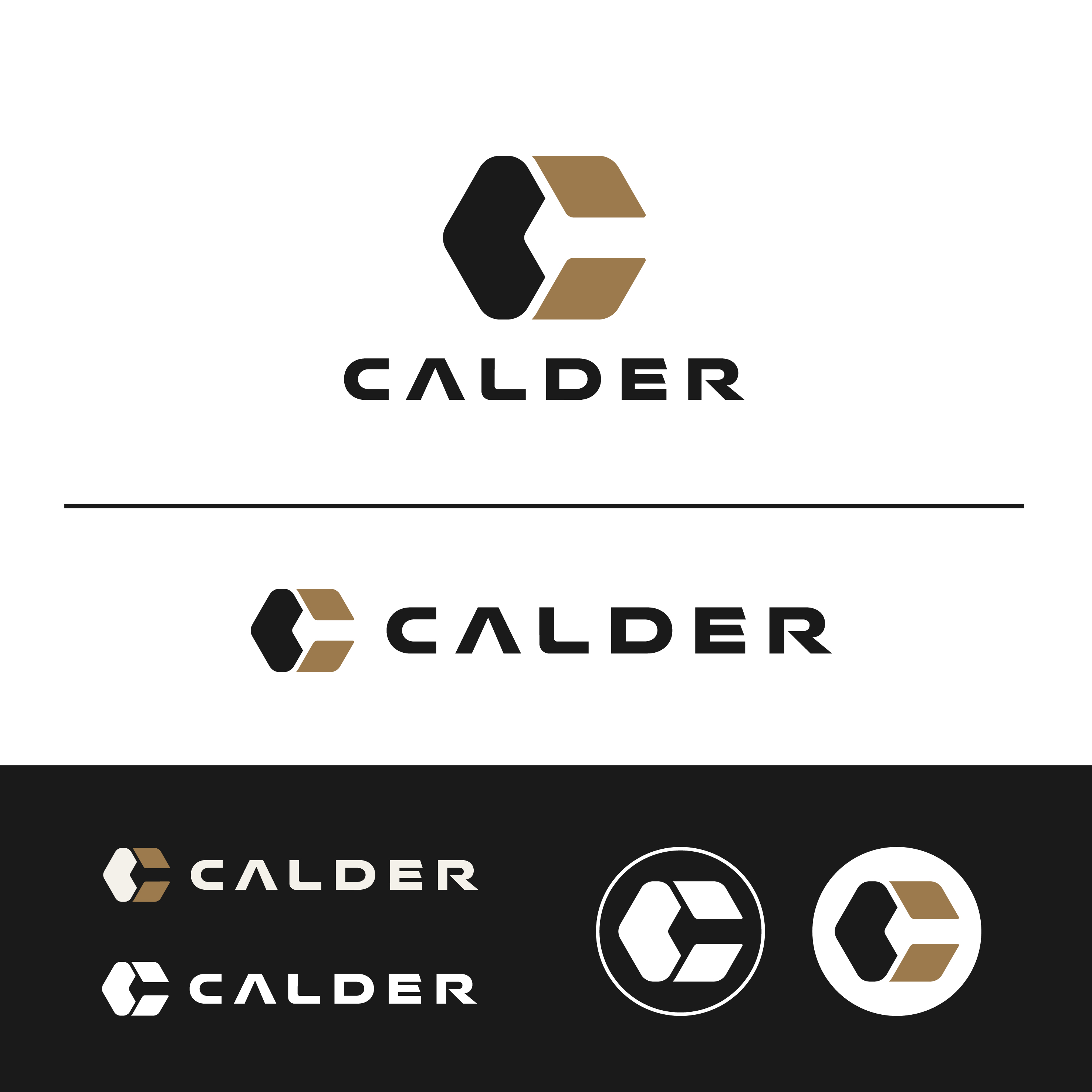 Logo Design by DesignUniq for SPEED AND STYLE | Design #37430446