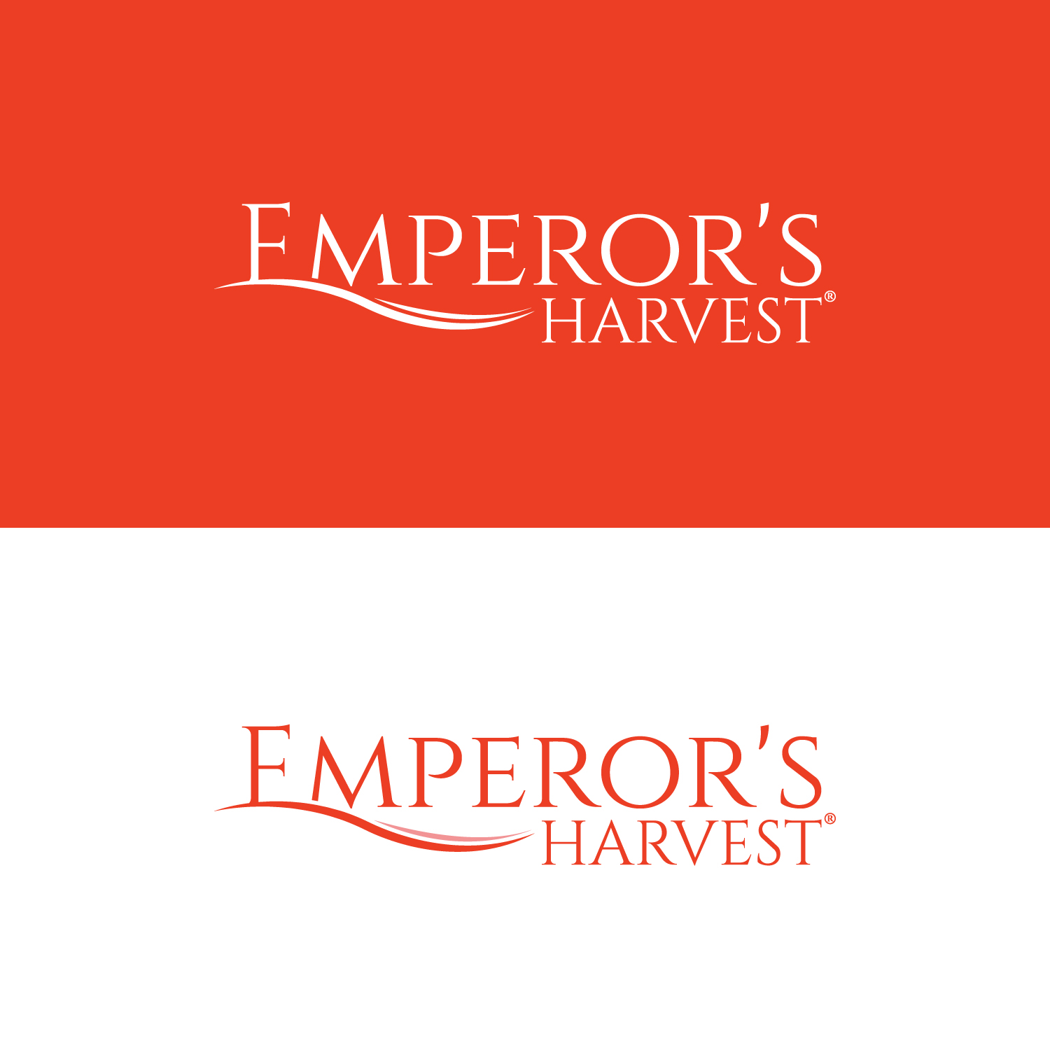 Logo Design by StromDesignHub for this project | Design #37418947