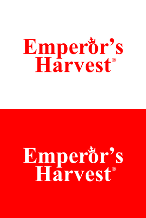 Logo Design by ArkanDesign