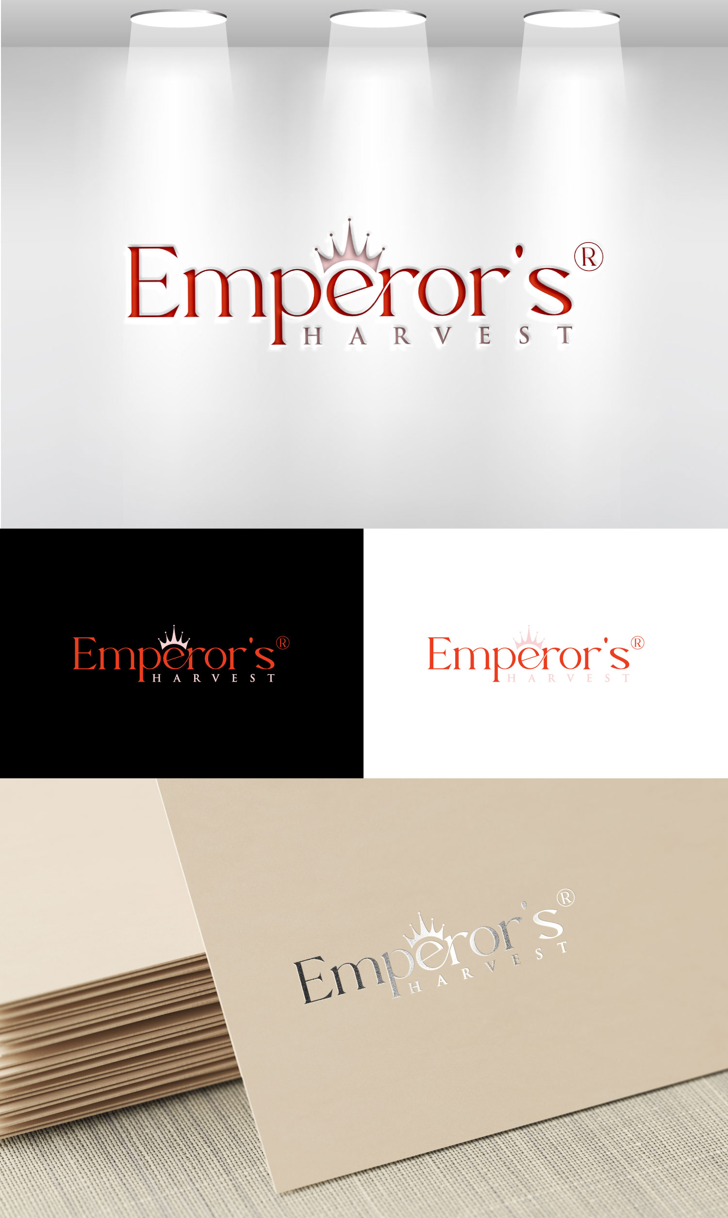 Logo Design by Mi Design1 for this project | Design #37415537
