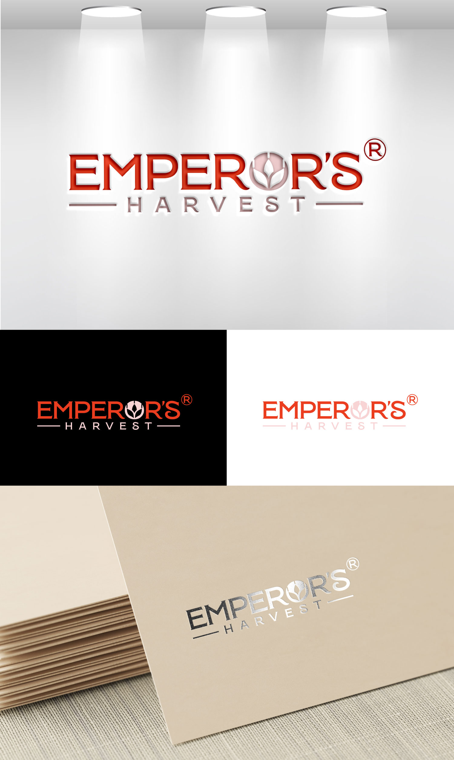 Logo Design by Mi Design1 for this project | Design #37415582