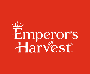 Logo Design by The Art Store