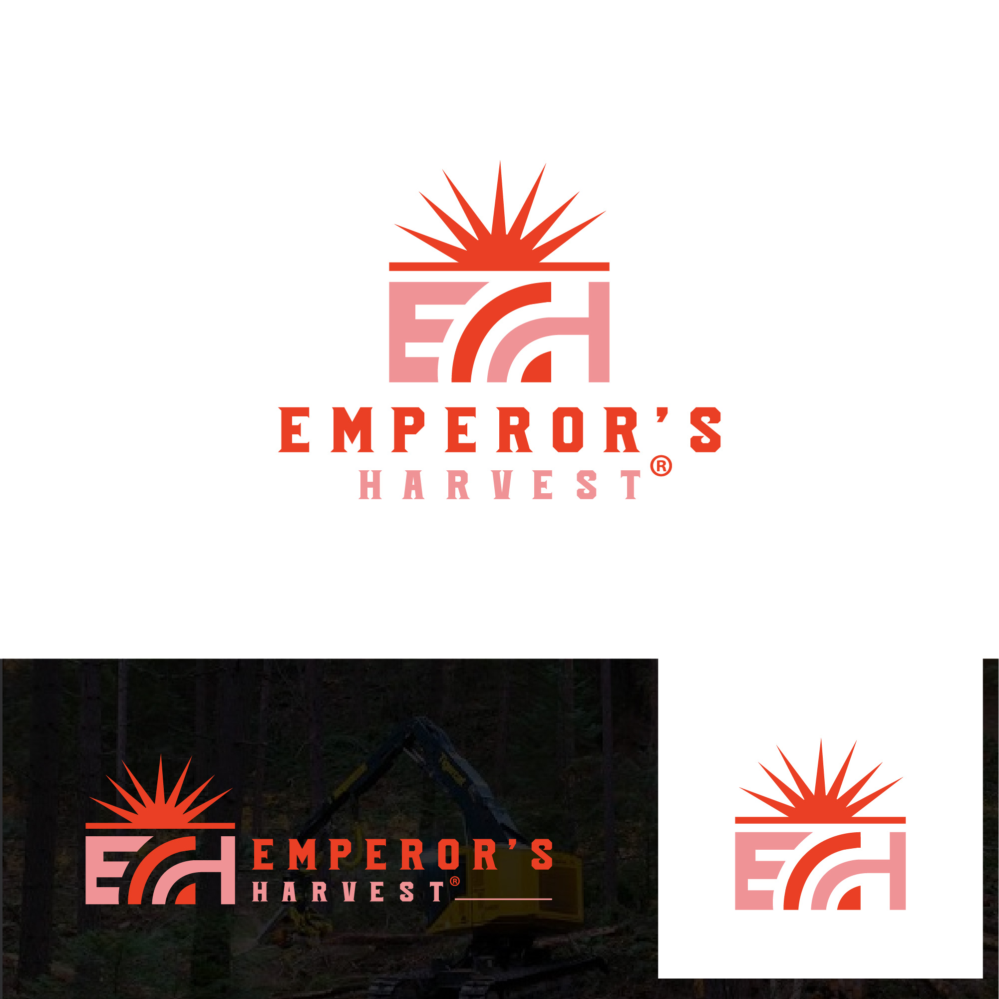 Logo Design by Talha Ahmad for this project | Design #37416987