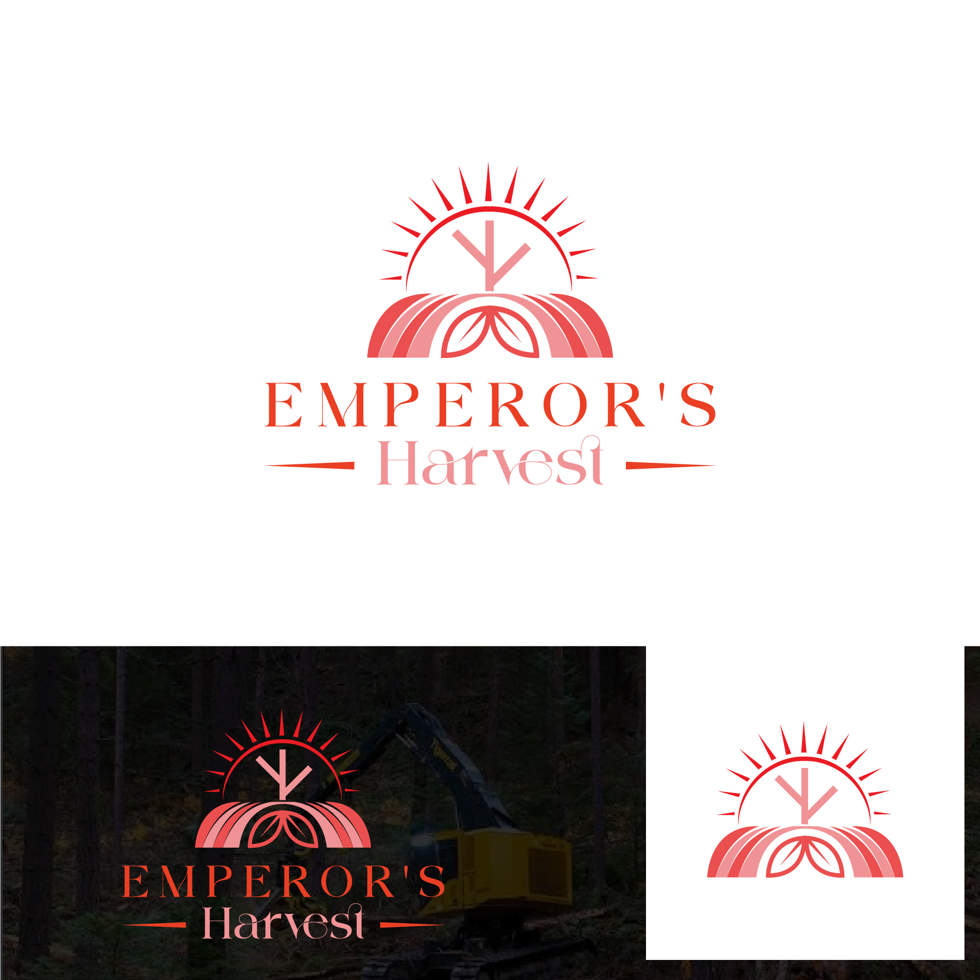 Logo Design by Talha Ahmad for this project | Design #37416988