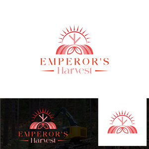 Logo Design by Talha Ahmad for this project | Design: #37416988