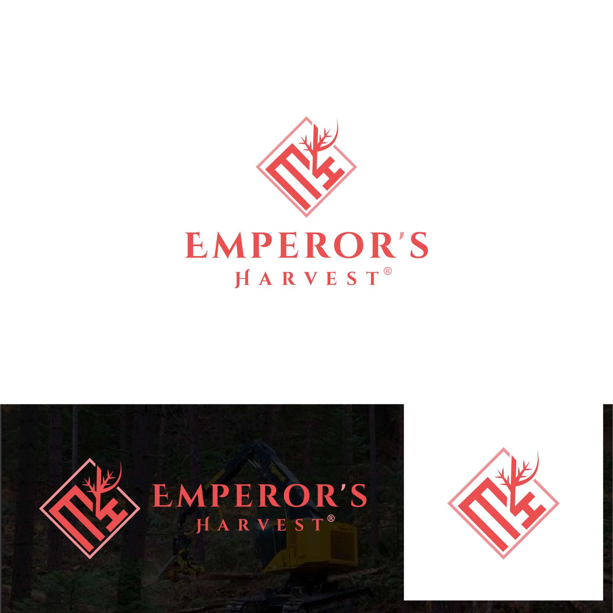Logo Design by Talha Ahmad for this project | Design #37416989