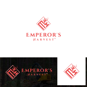 Logo Design by Talha Ahmad for this project | Design: #37416989