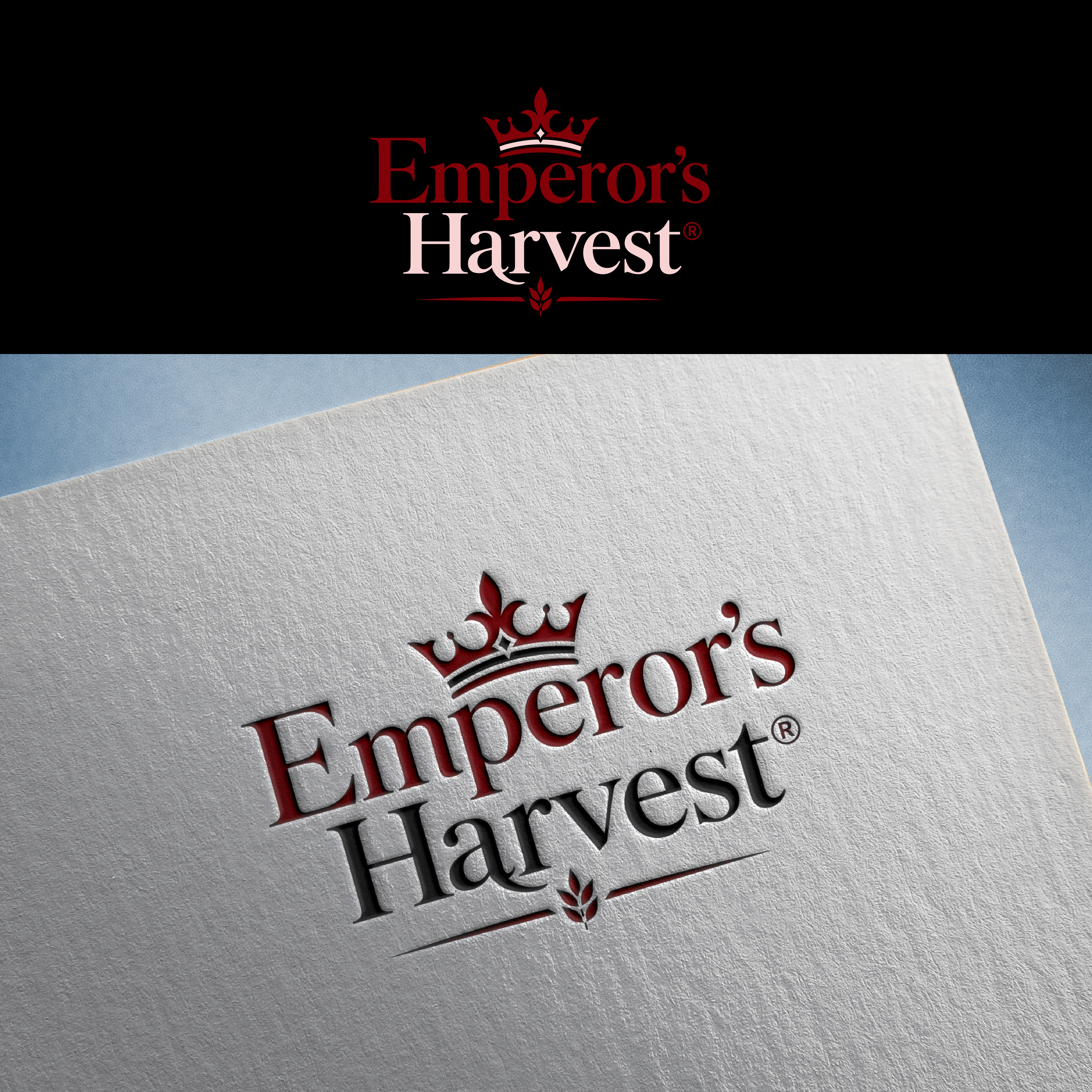 Logo Design by Shariqology for this project | Design #37419473
