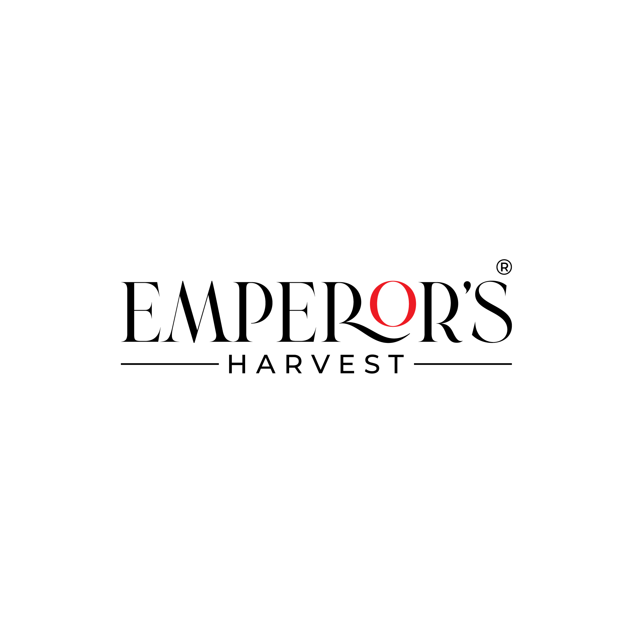 Logo Design by designer profile for this project | Design #37416762