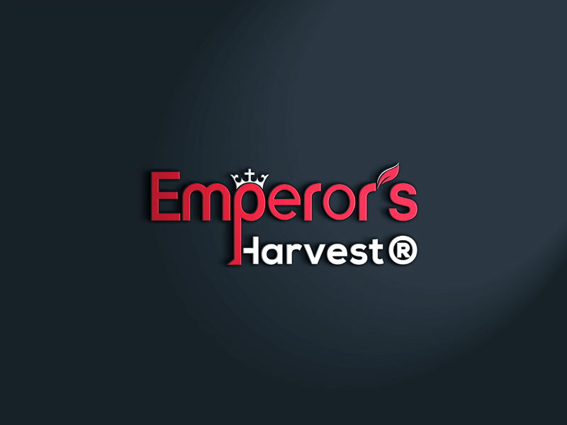 Logo Design by luxydesign for this project | Design #37419195