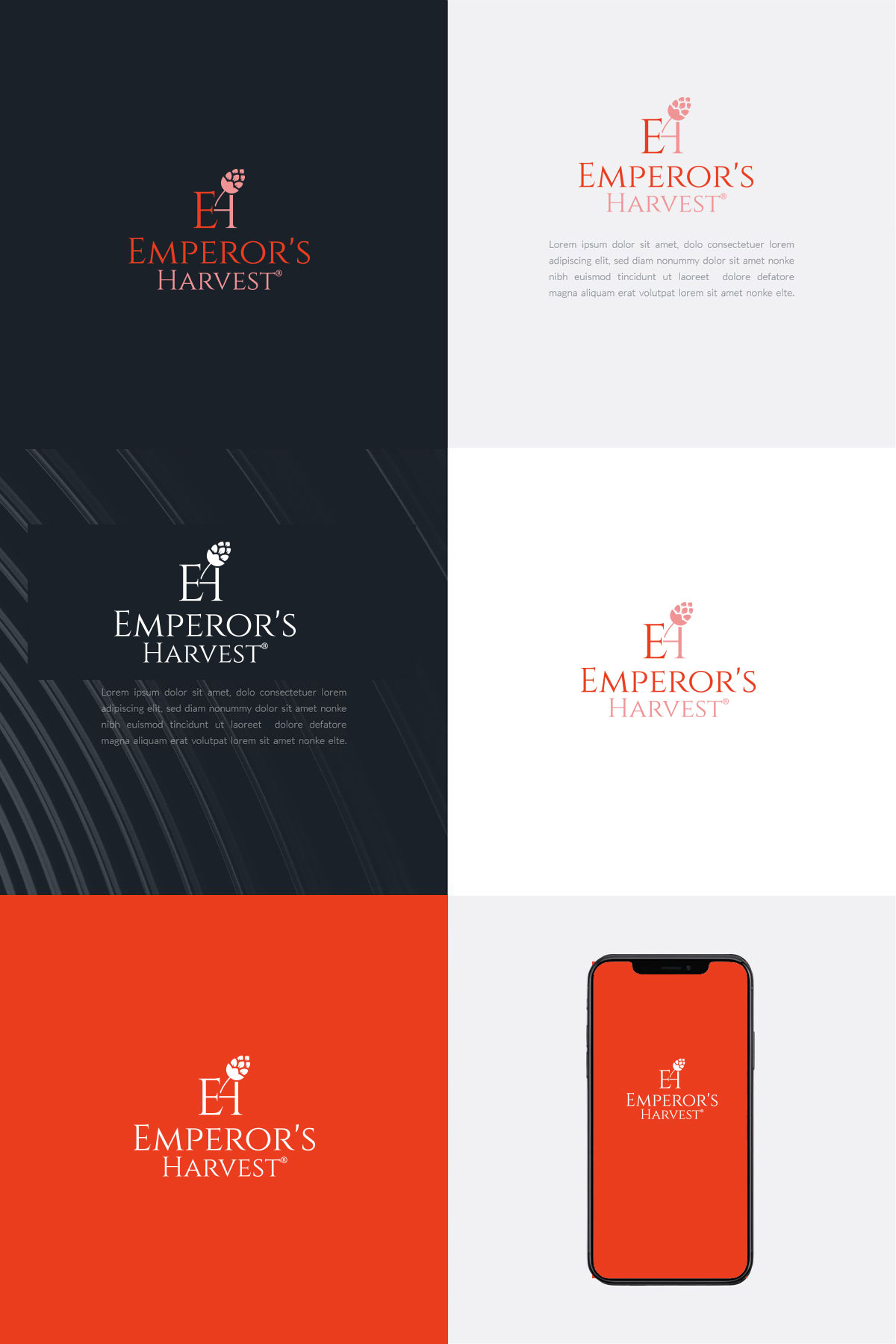 Logo Design by sulemani  creation for this project | Design #37416959