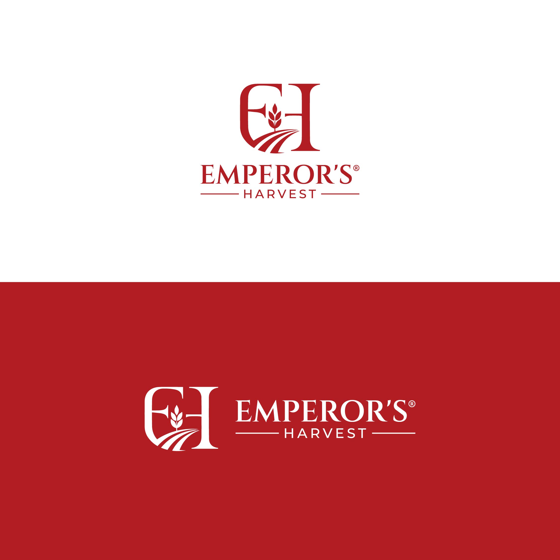 Logo Design by BANI GD for this project | Design #37416080