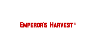 Logo Design by ak4d