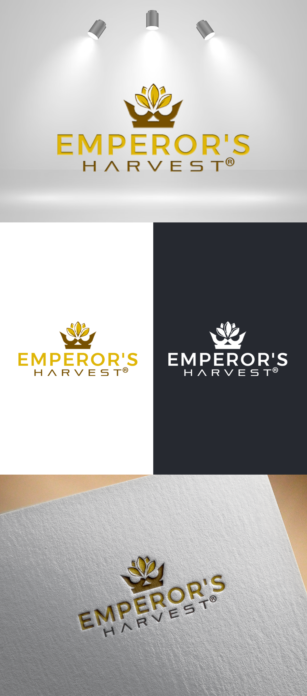 Logo Design by SANJU1 for this project | Design #37417744