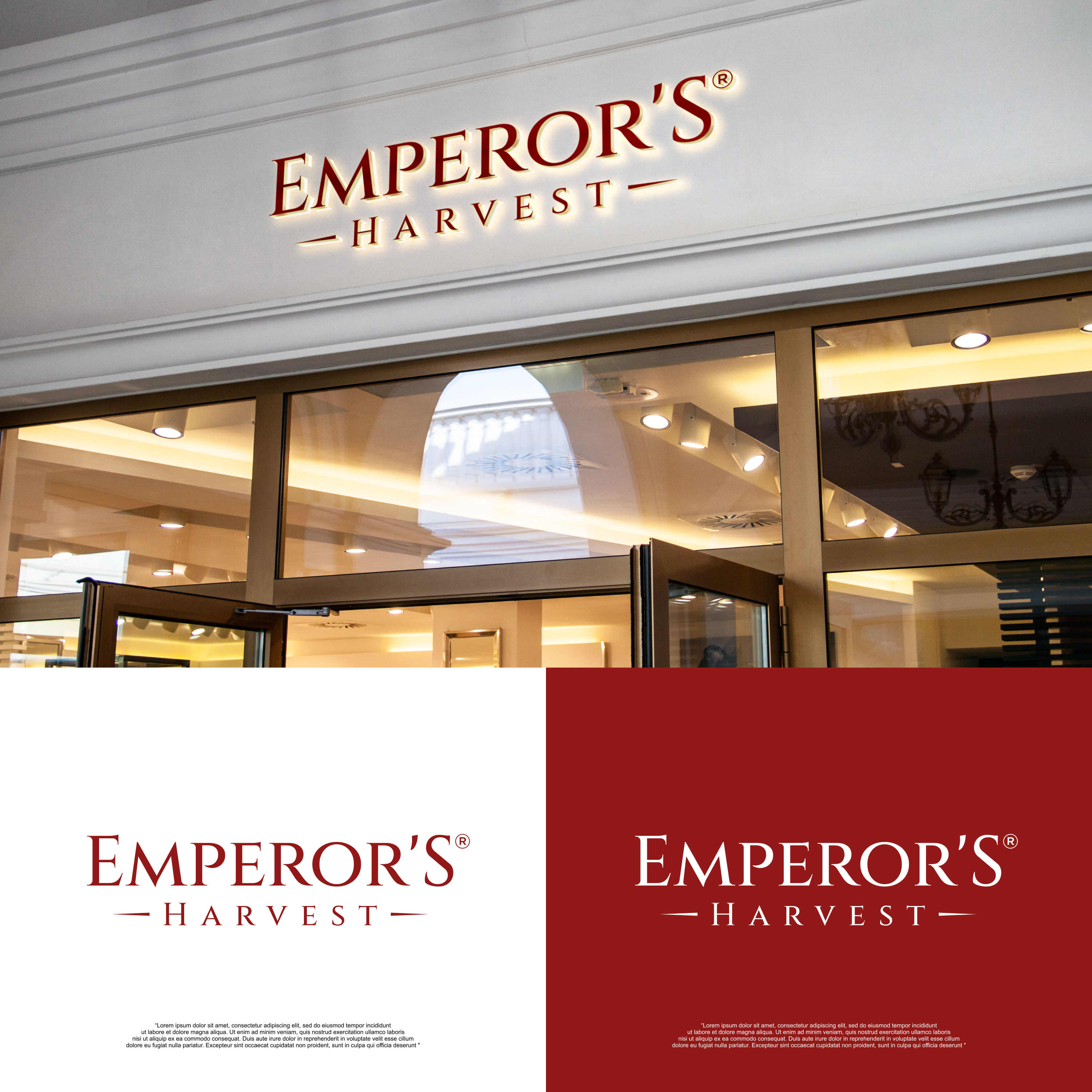 Logo Design by izdihaar studio for this project | Design #37415816