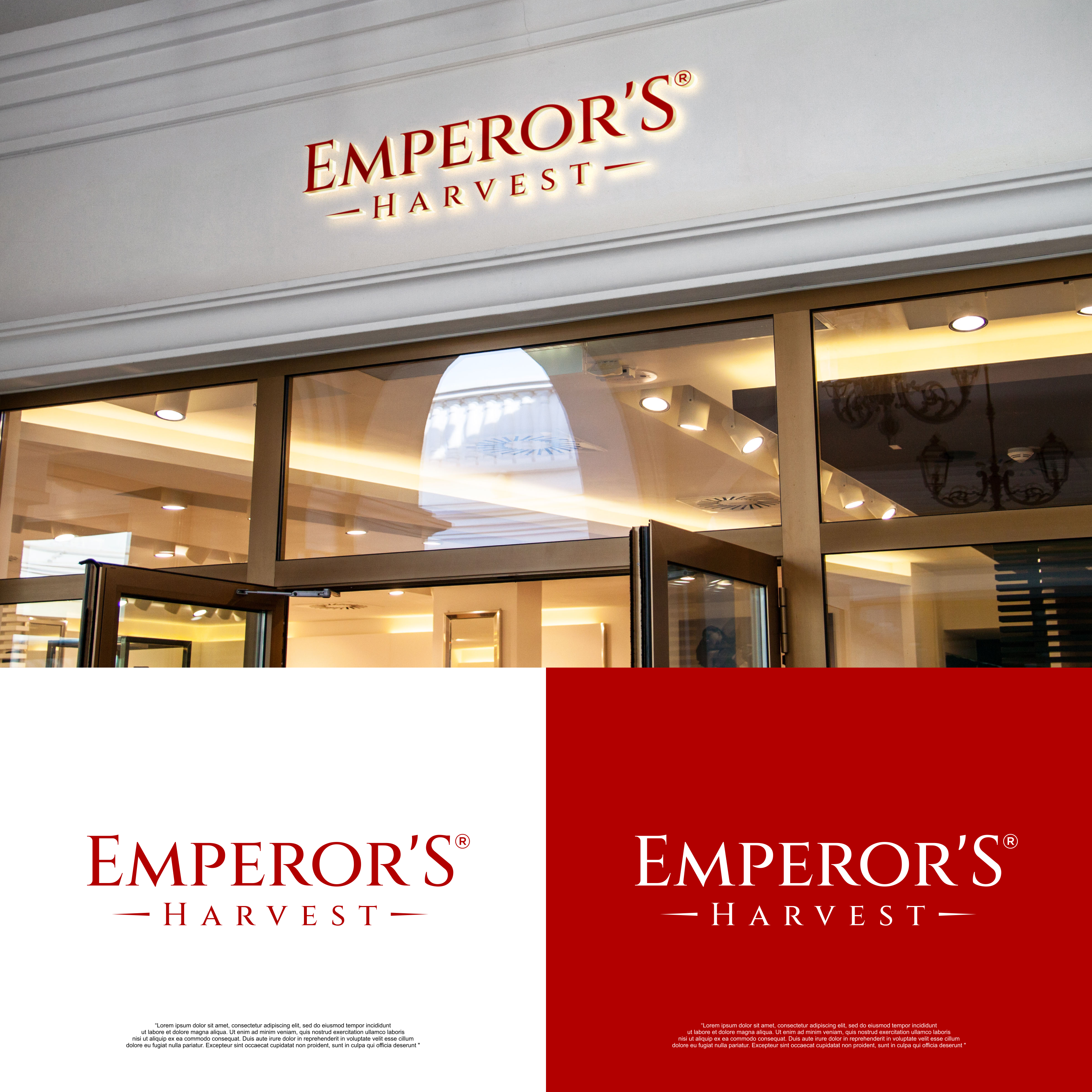 Logo Design by izdihaar studio for this project | Design #37419561