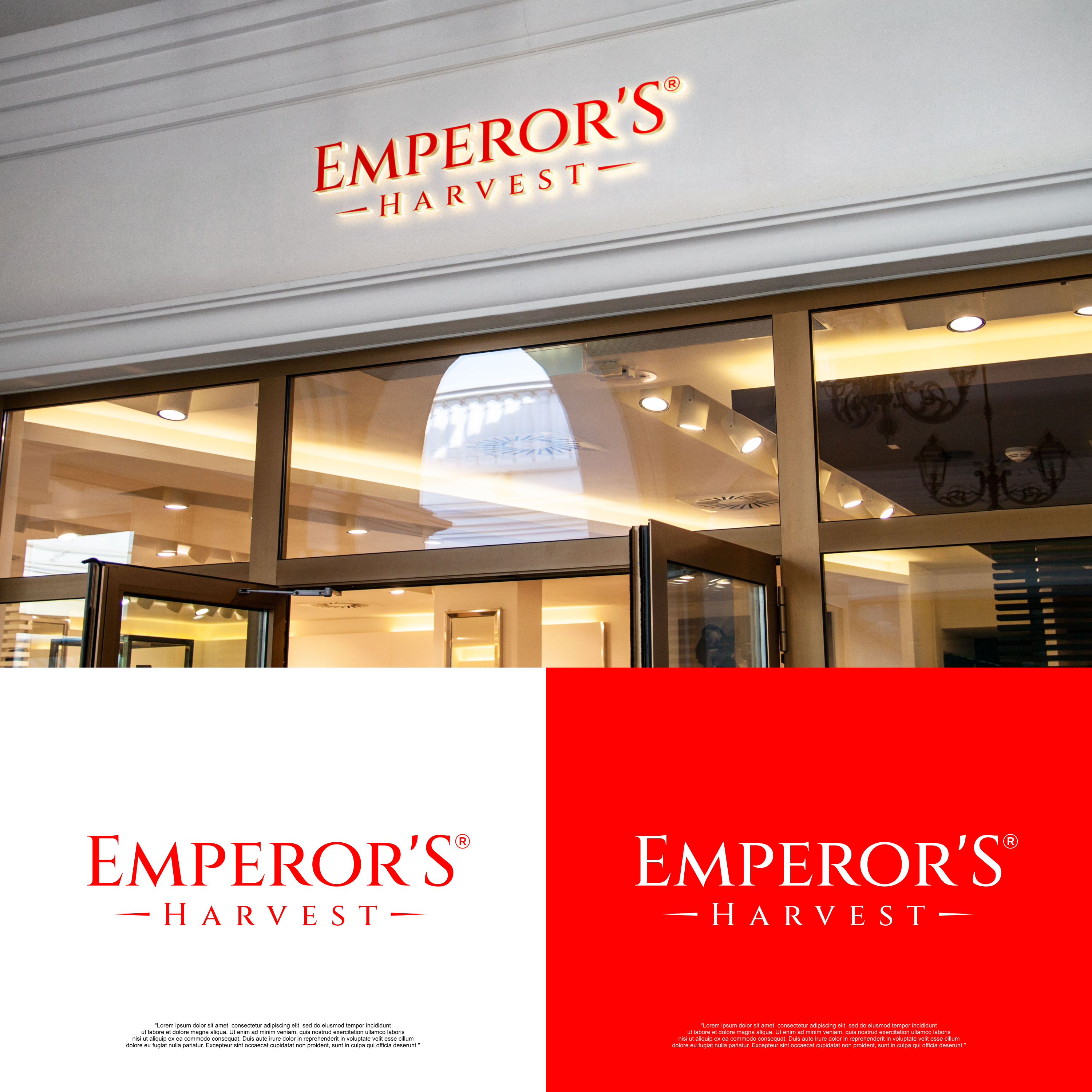 Logo Design by izdihaar studio for this project | Design #37419567