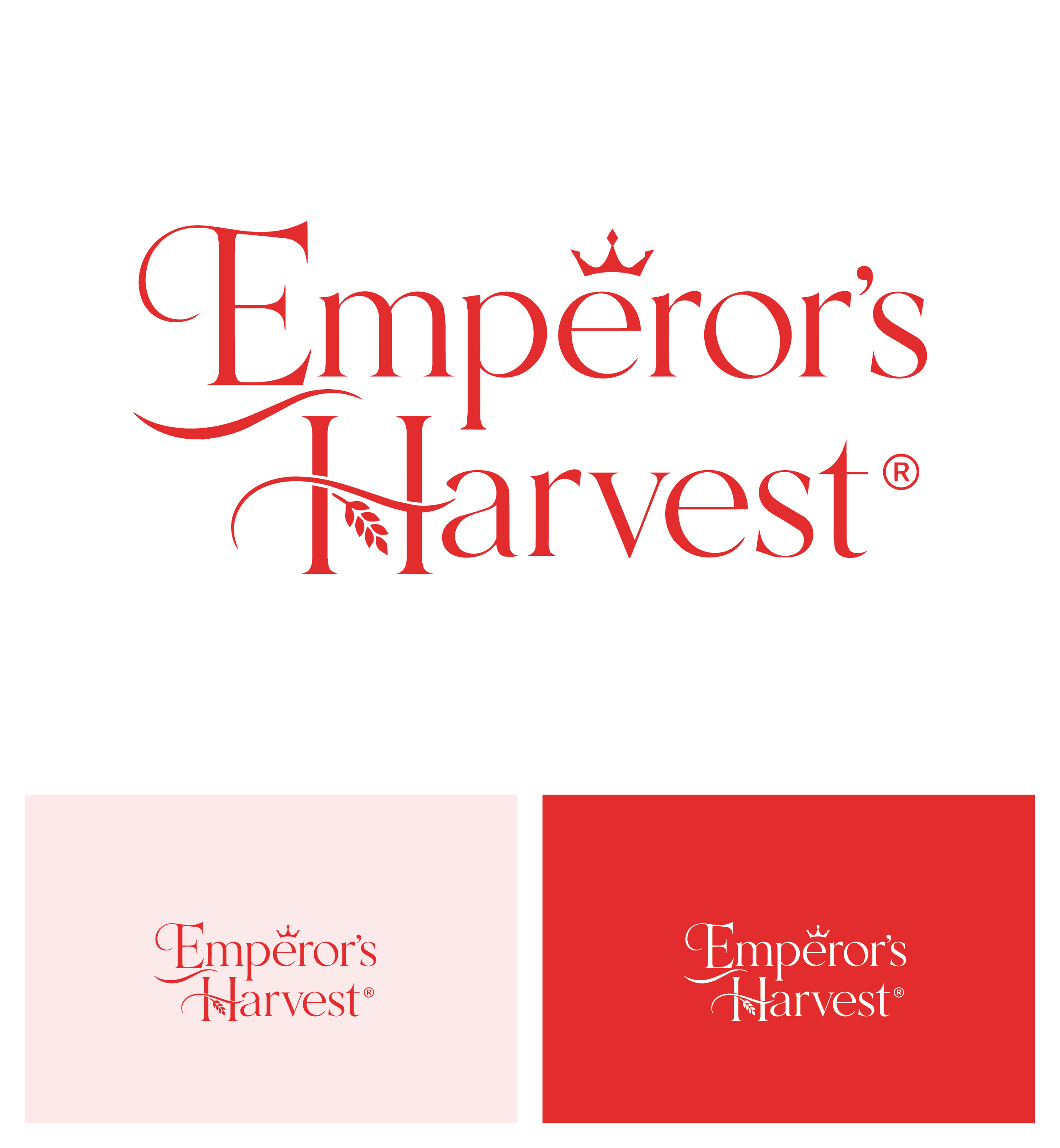 Logo Design by Afsana_Hoque for this project | Design #37418280