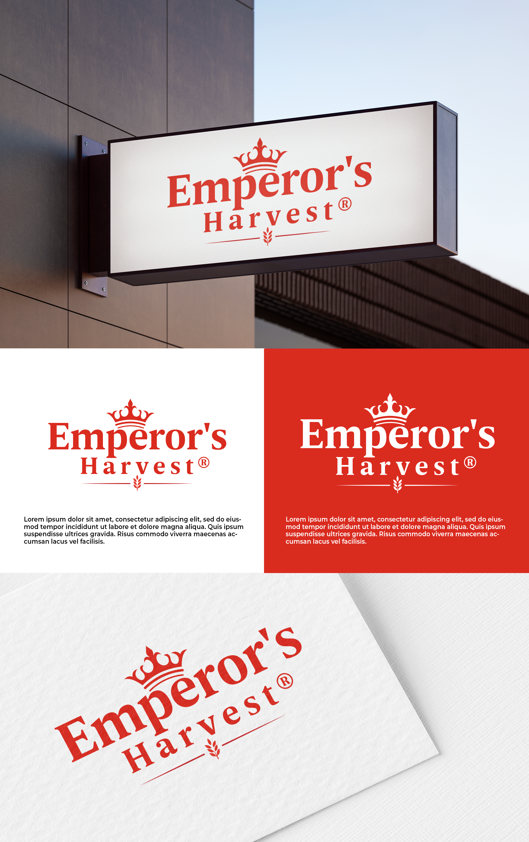 Logo Design by Md. Abuhanifa for this project | Design #37416444