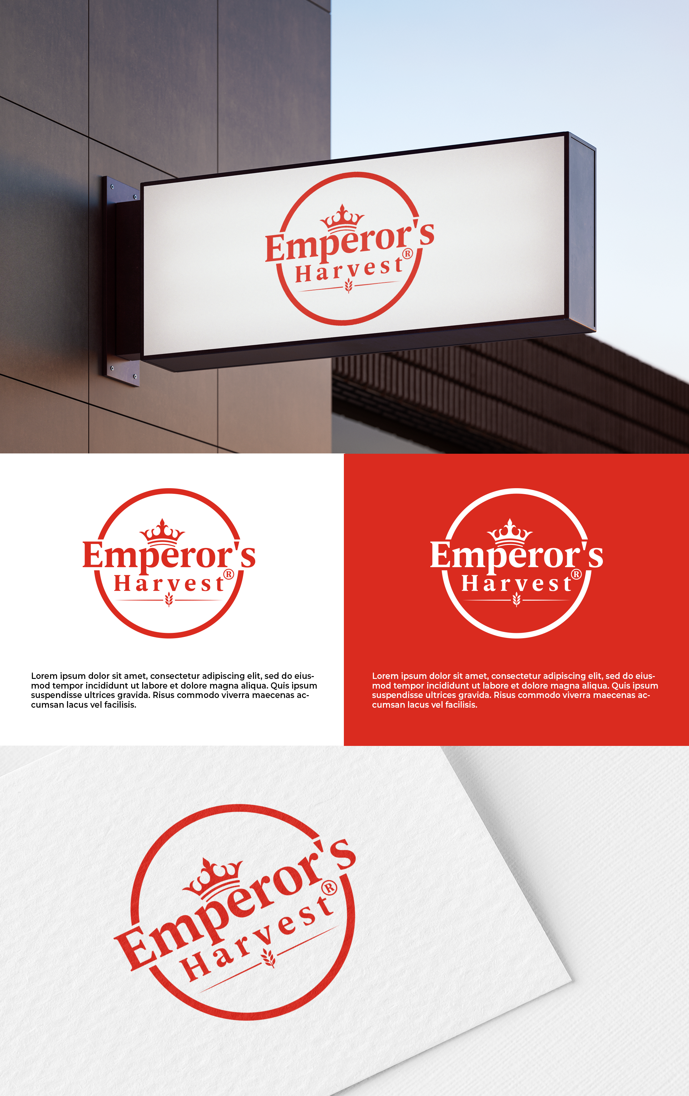 Logo Design by Md. Abuhanifa for this project | Design #37416507