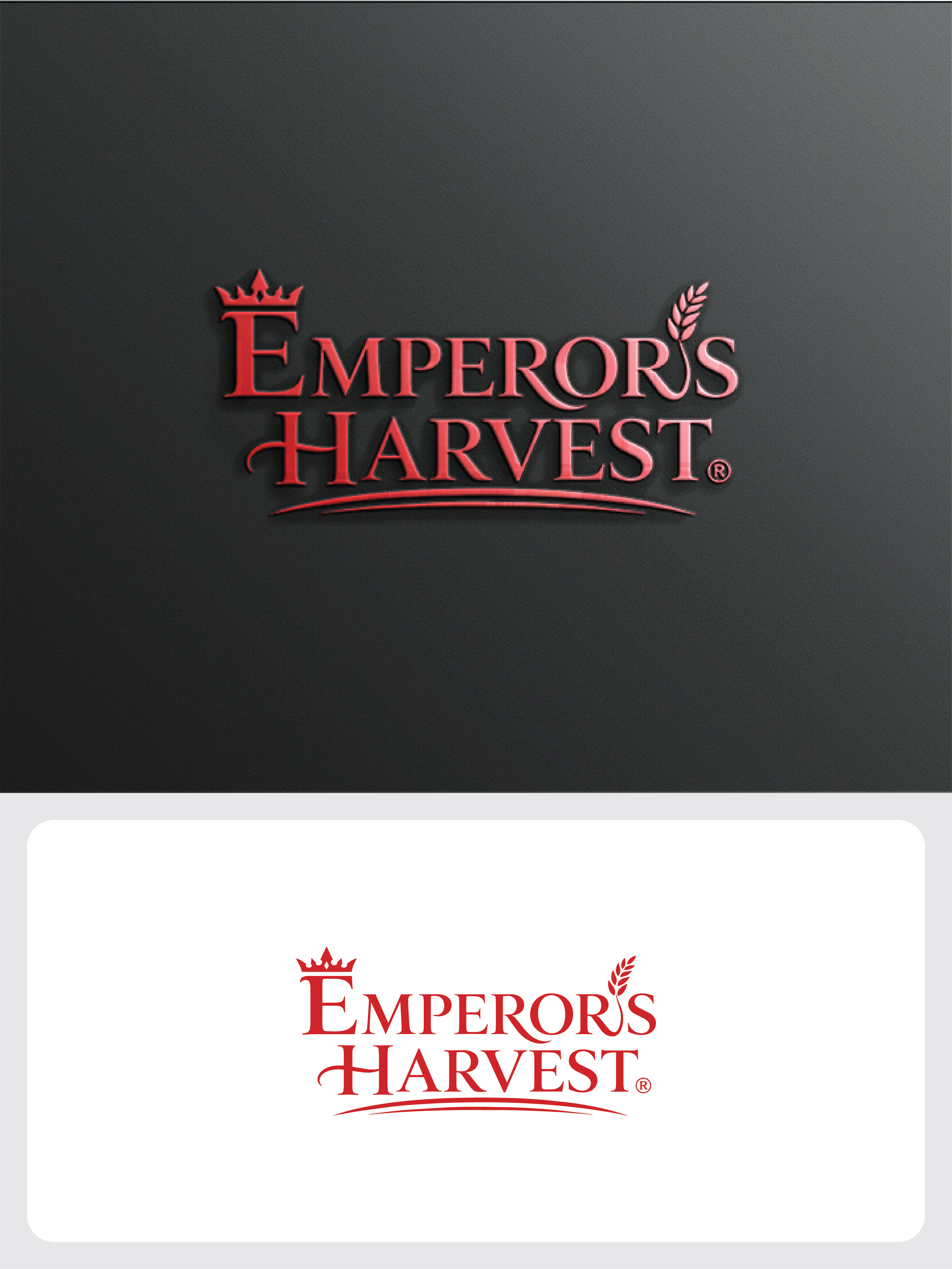Logo Design by raju.creative for this project | Design #37418048