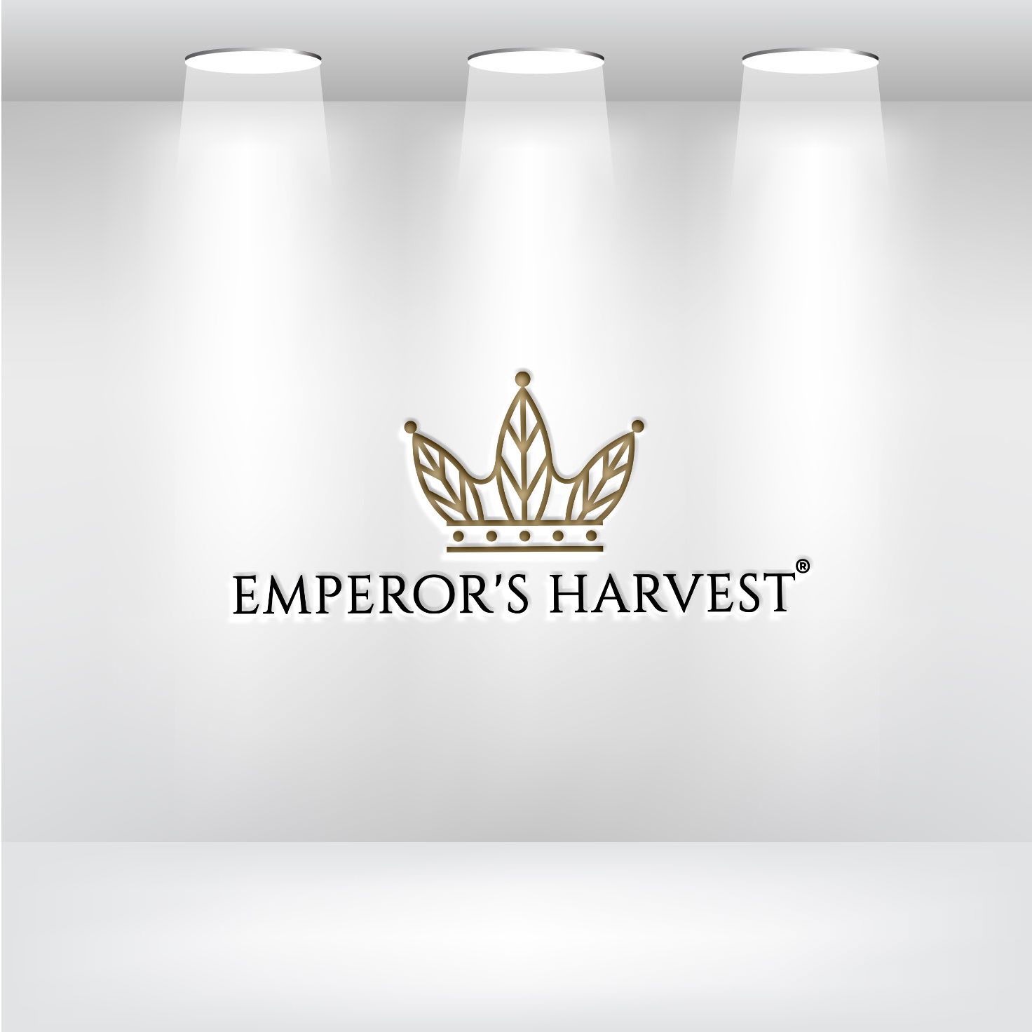 Logo Design by Deziners Zone for this project | Design #37417232