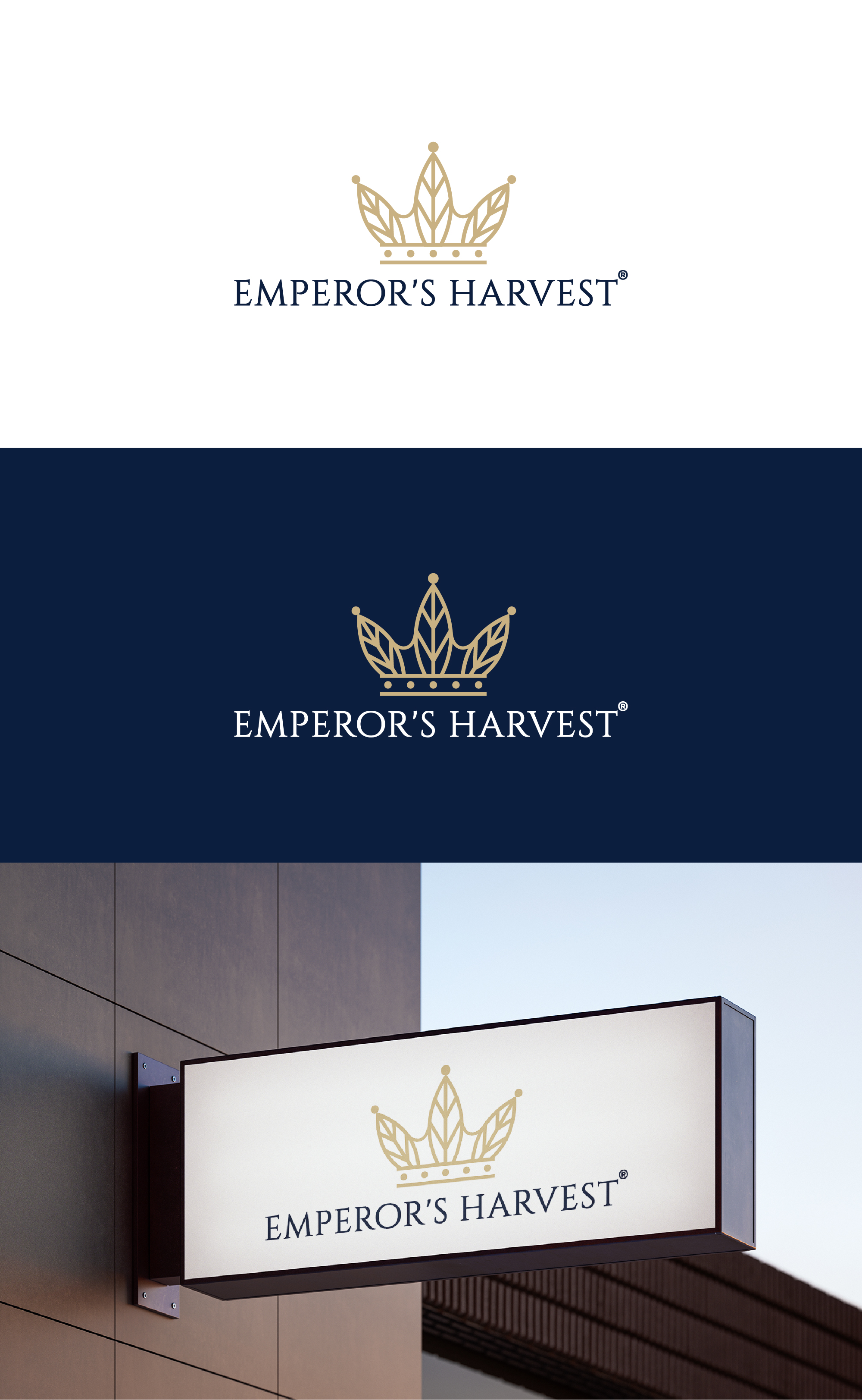 Logo Design by Deziners Zone for this project | Design #37417237