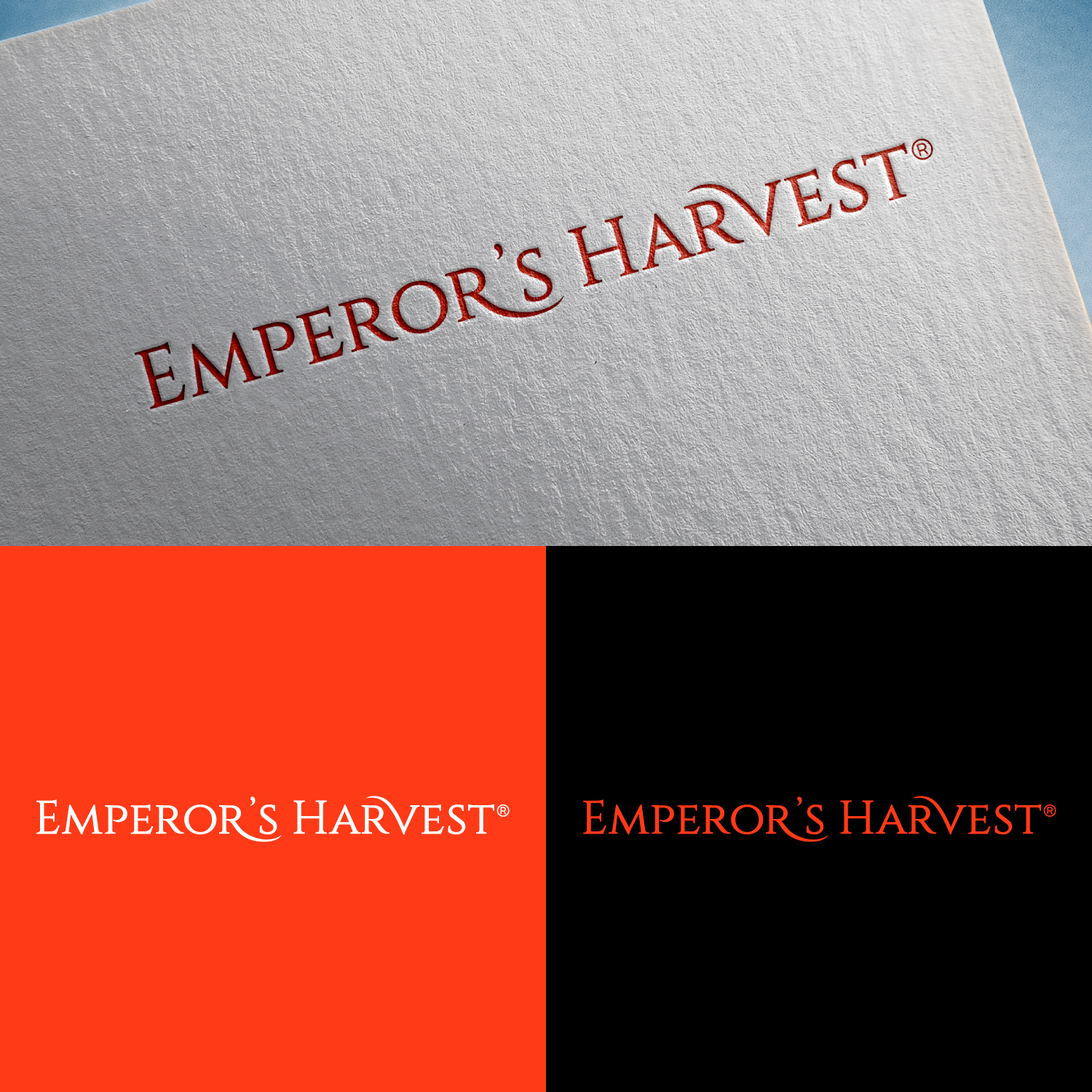 Logo Design by Abelco2025 for this project | Design #37418577