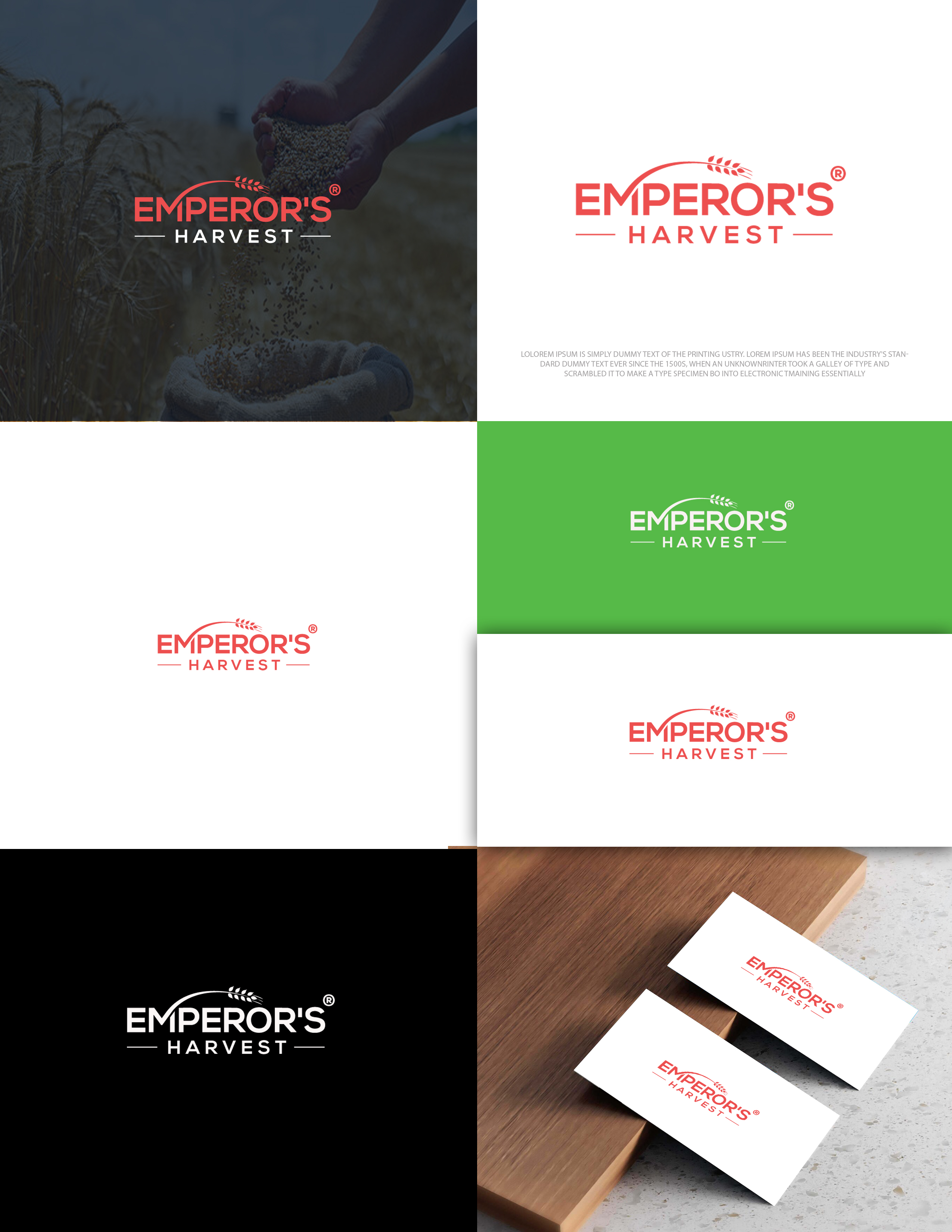 Logo Design by zebronicgraphic for this project | Design #37416803