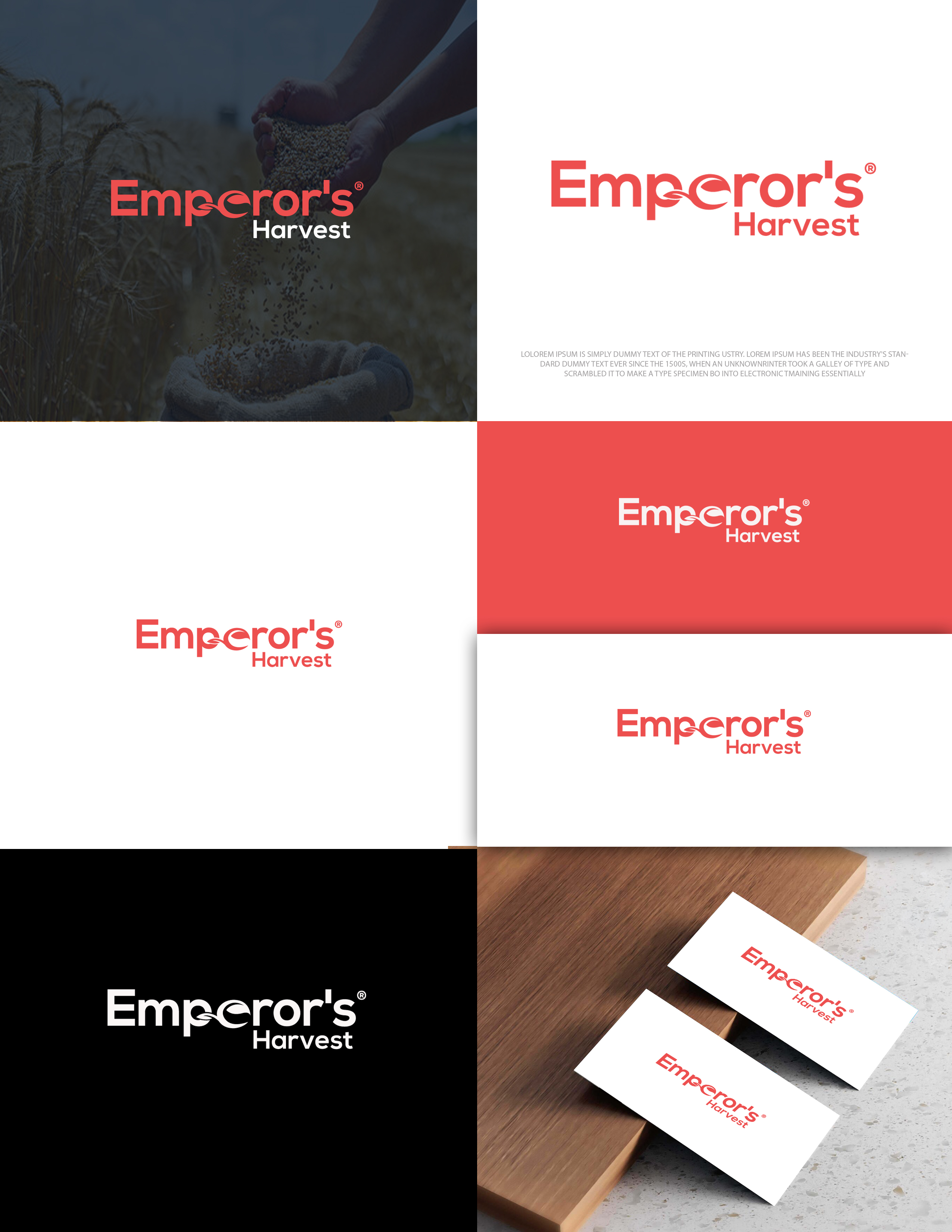 Logo Design by zebronicgraphic for this project | Design #37416940
