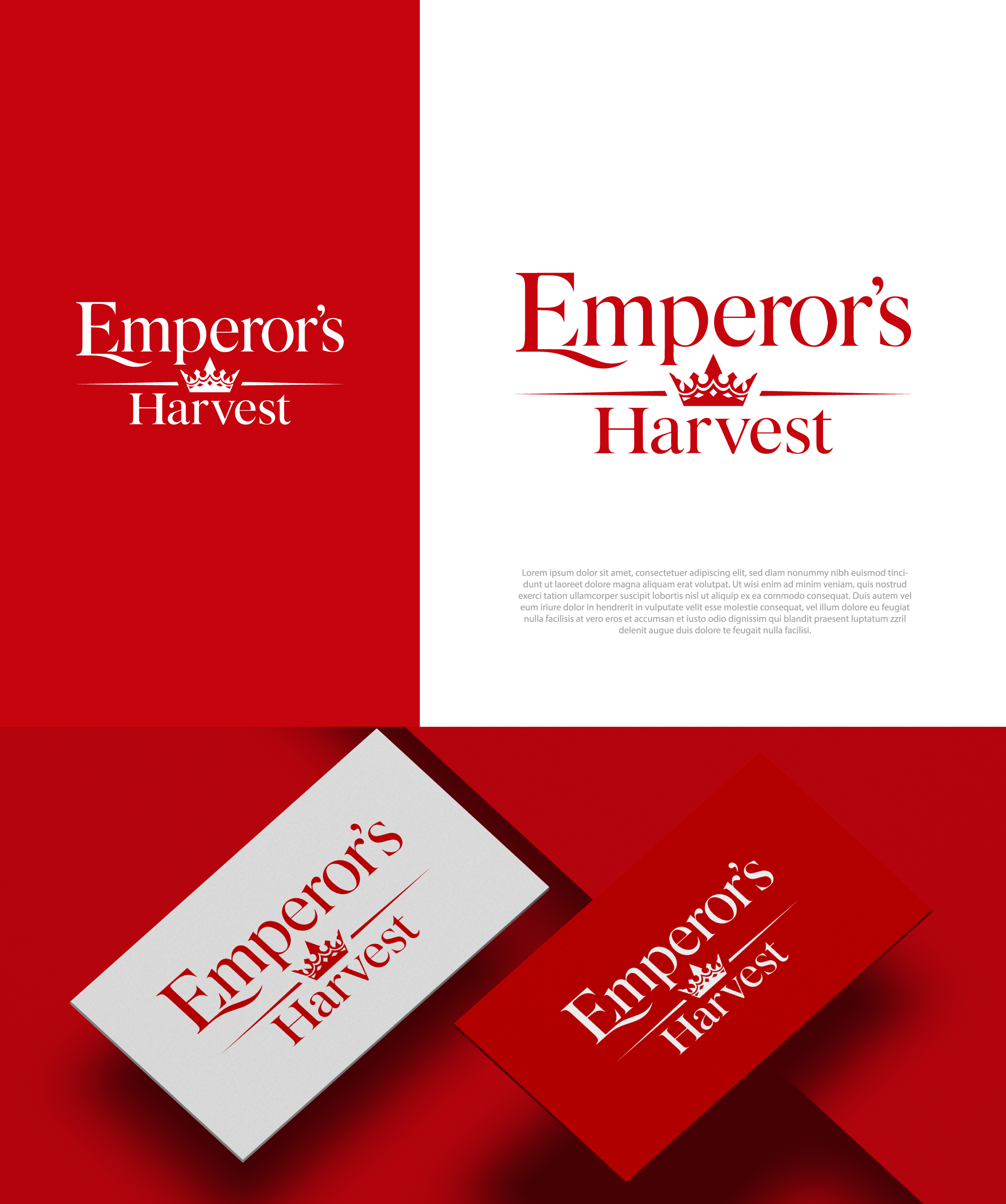Logo Design by aexoagency for this project | Design #37418381