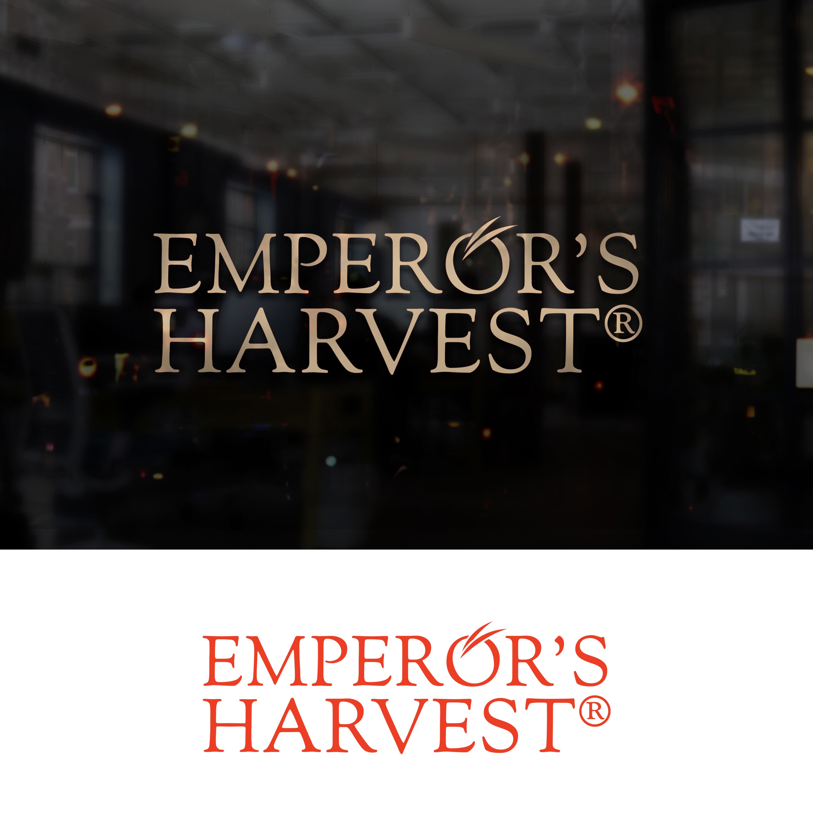 Logo Design by Impressive Designs for this project | Design #37417172