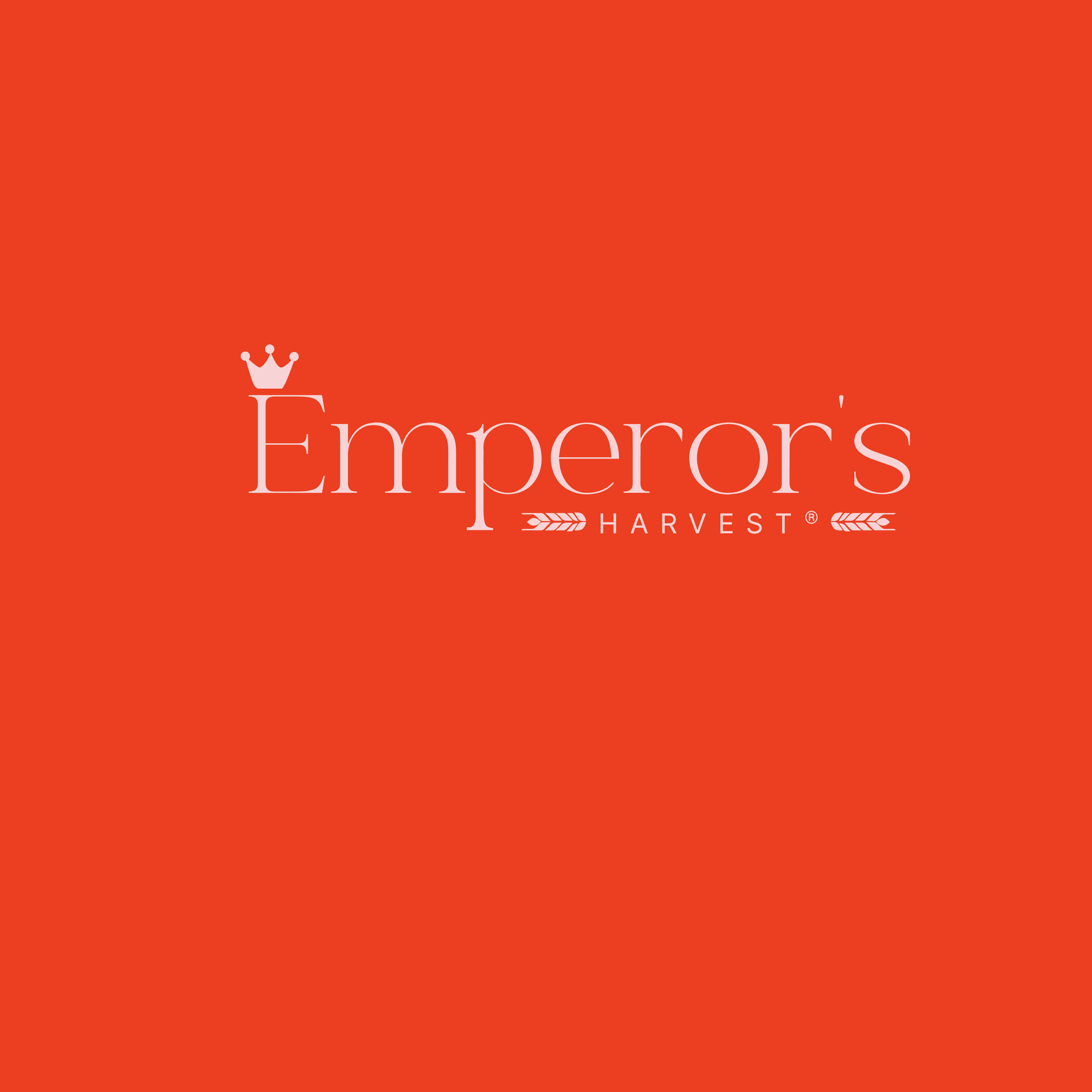Logo Design by Sampath m for this project | Design #37416288