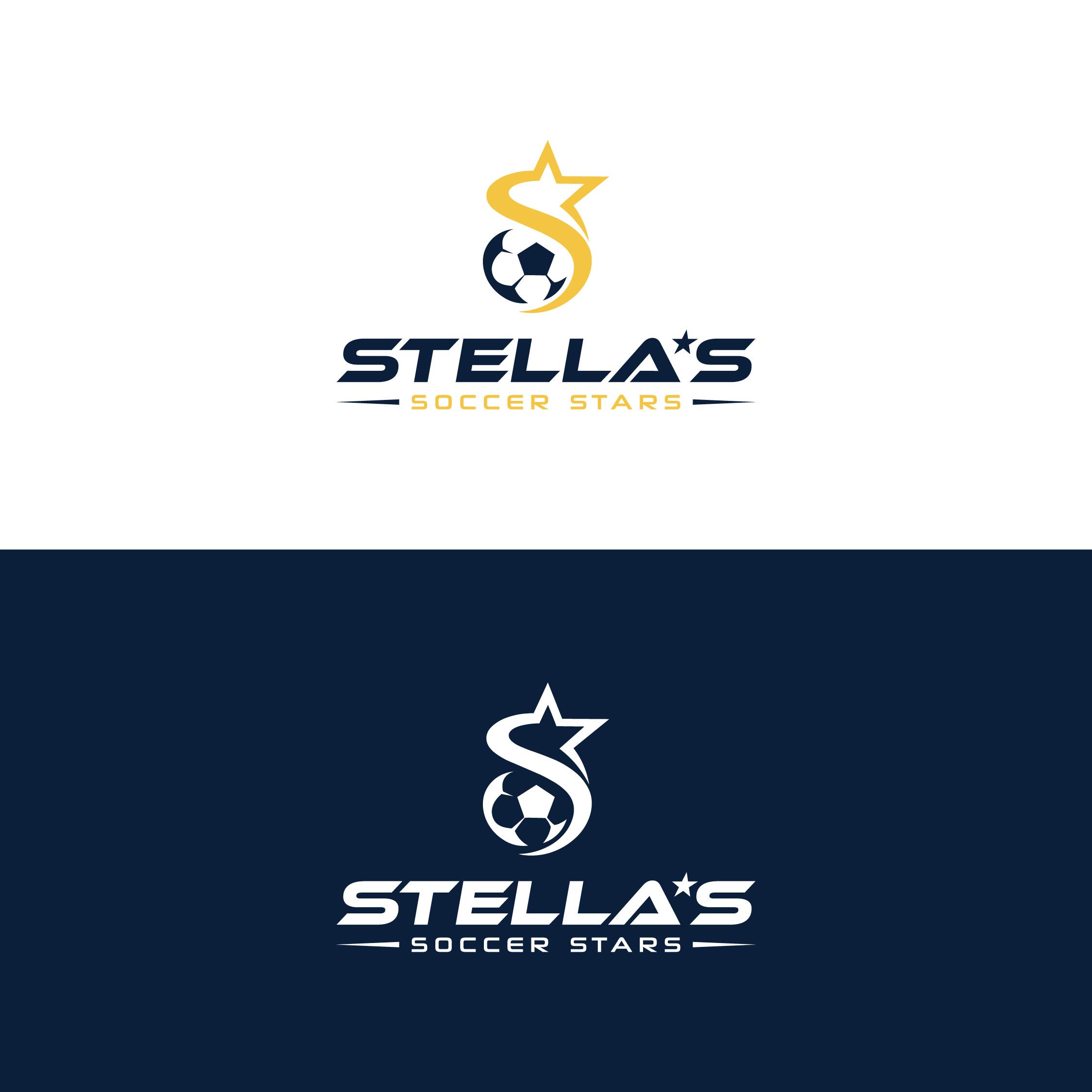 Logo Design by BANI GD for Premier Venture Partners | Design #37432797