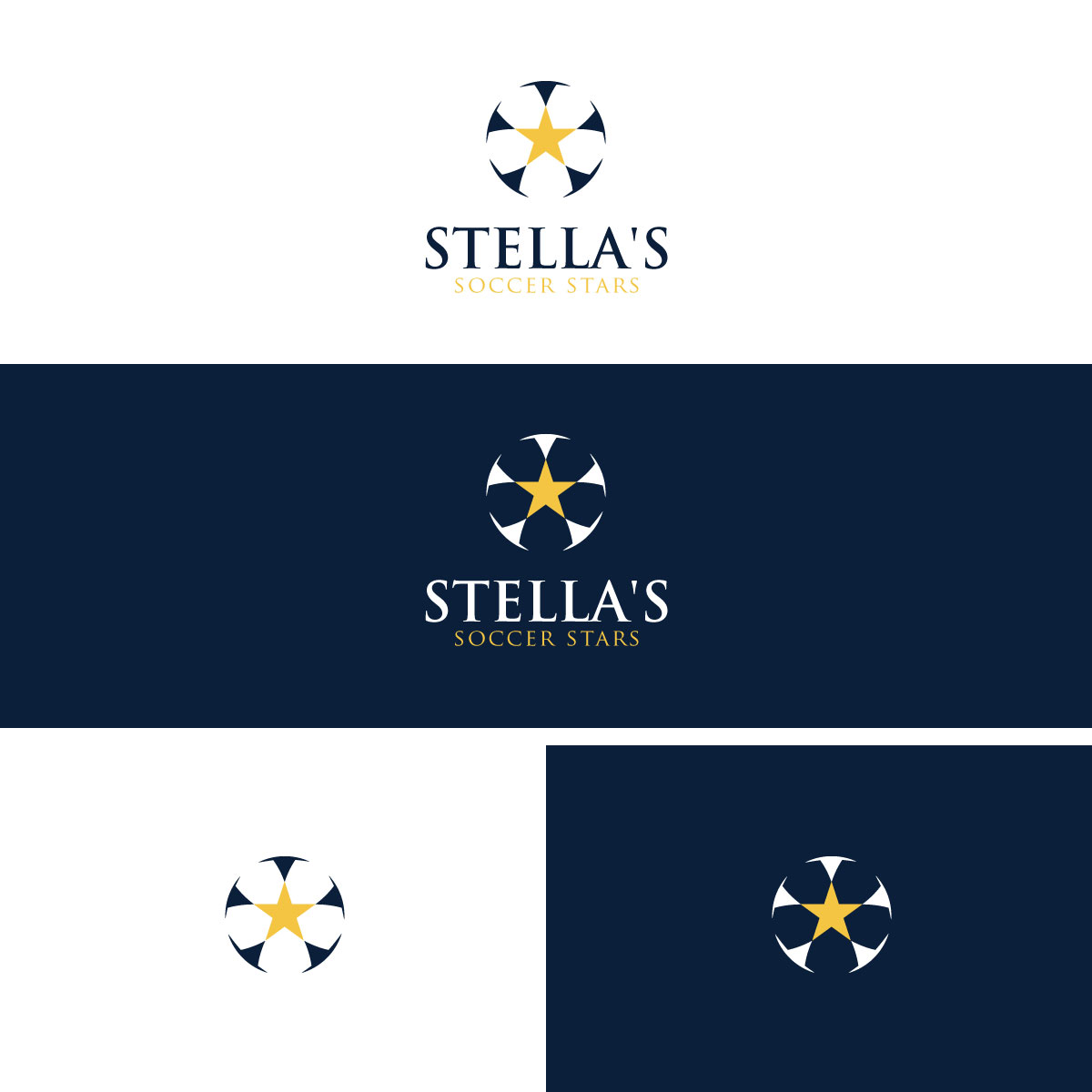 Logo Design by Alex Henry for Premier Venture Partners | Design #37421122