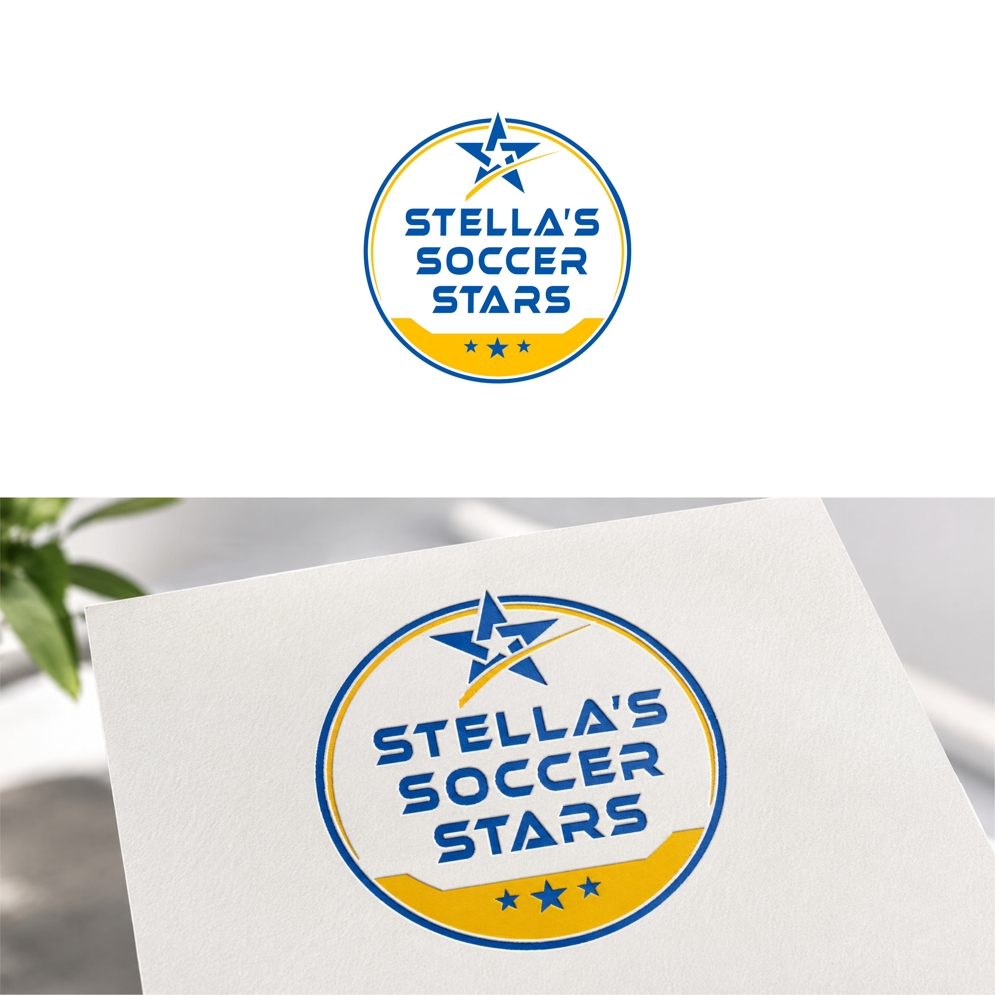 Logo Design by Permata for Premier Venture Partners | Design #37440499
