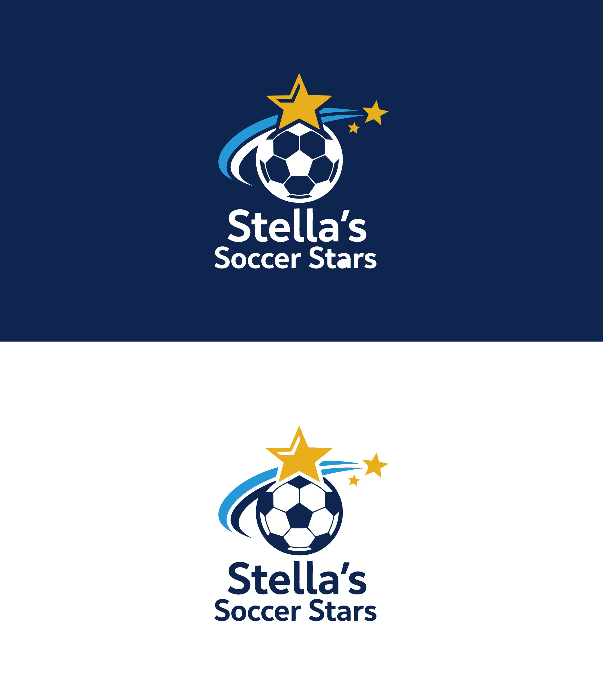 Logo Design by Farhan100 for Premier Venture Partners | Design #37420331
