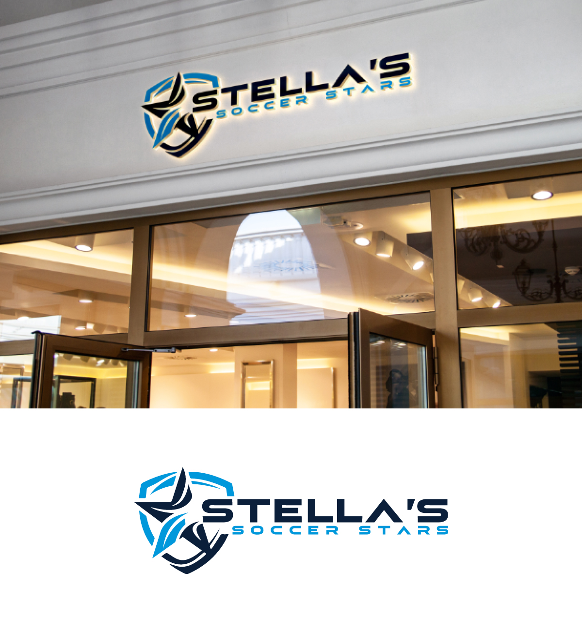 Logo Design by JMN Signatures for Premier Venture Partners | Design #37427562