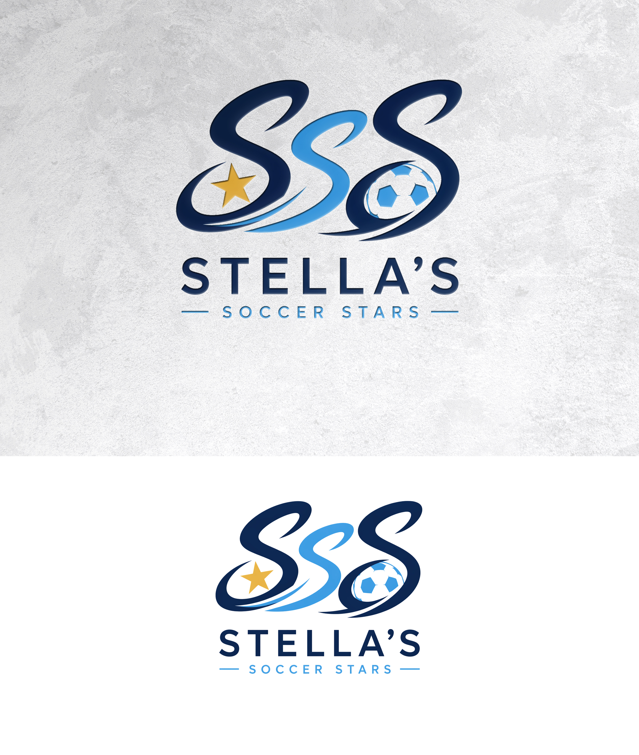 Logo Design by zamdi for Premier Venture Partners | Design #37439141