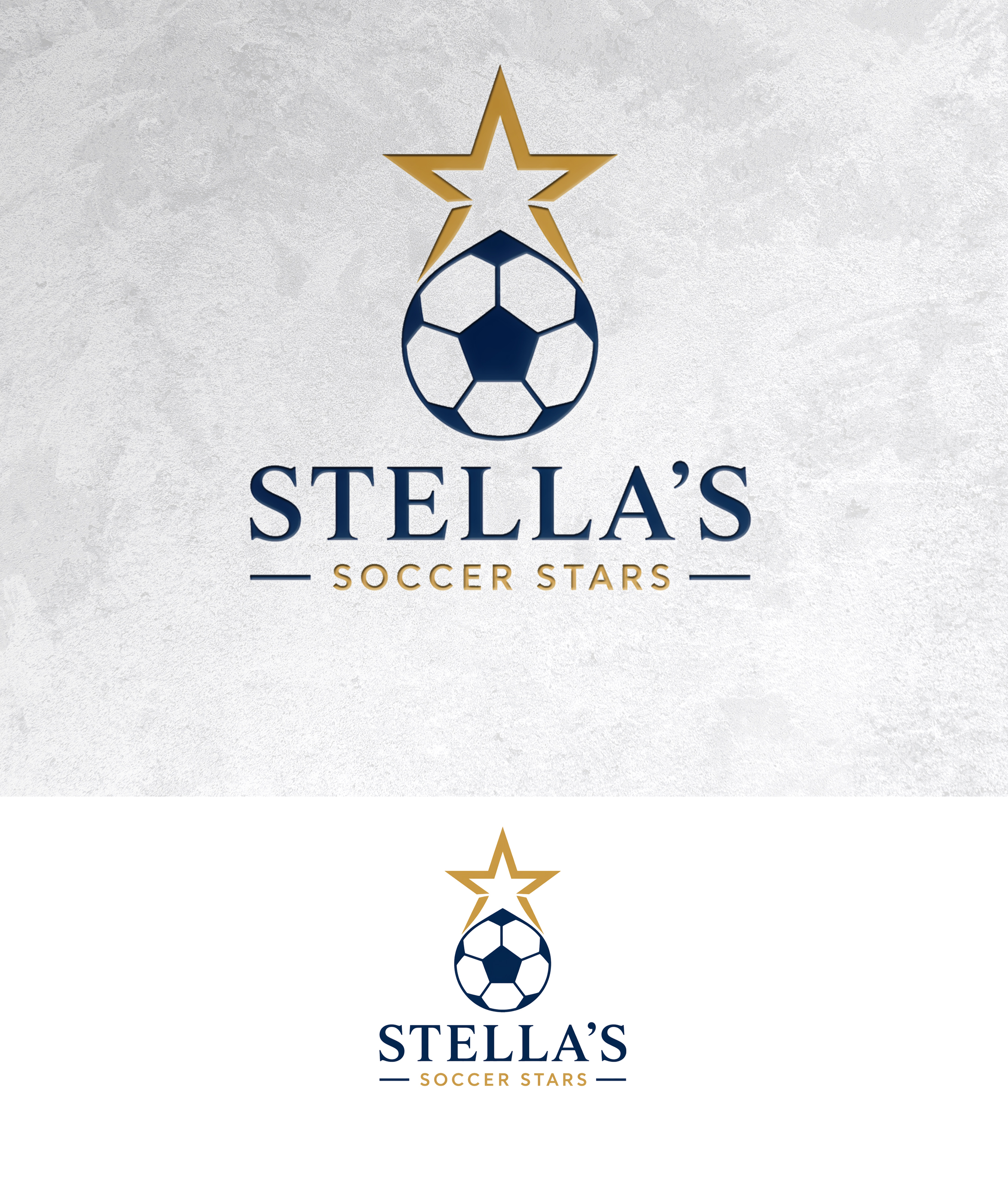 Logo Design by zamdi for Premier Venture Partners | Design #37439143