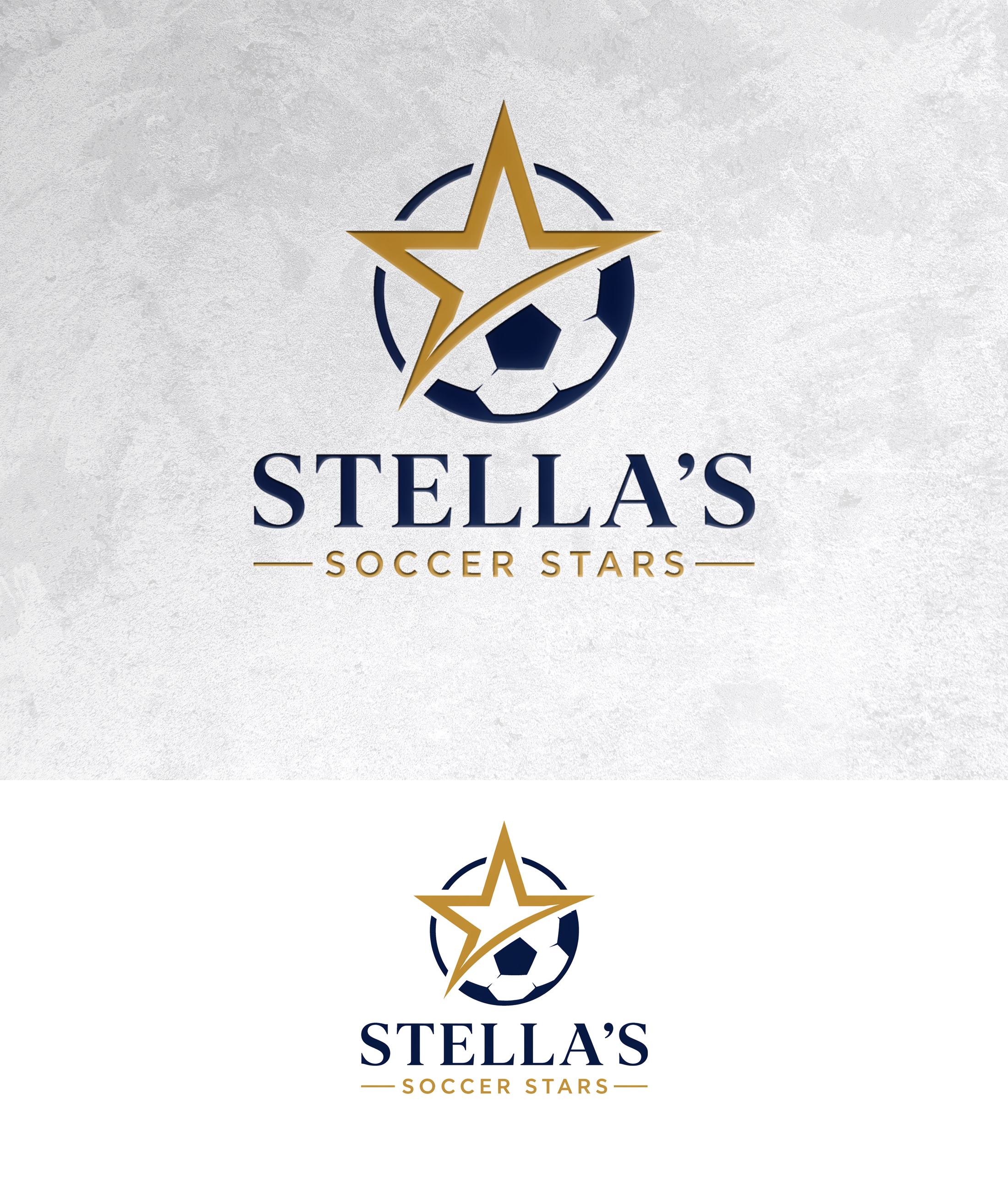 Logo Design by zamdi for Premier Venture Partners | Design #37439144