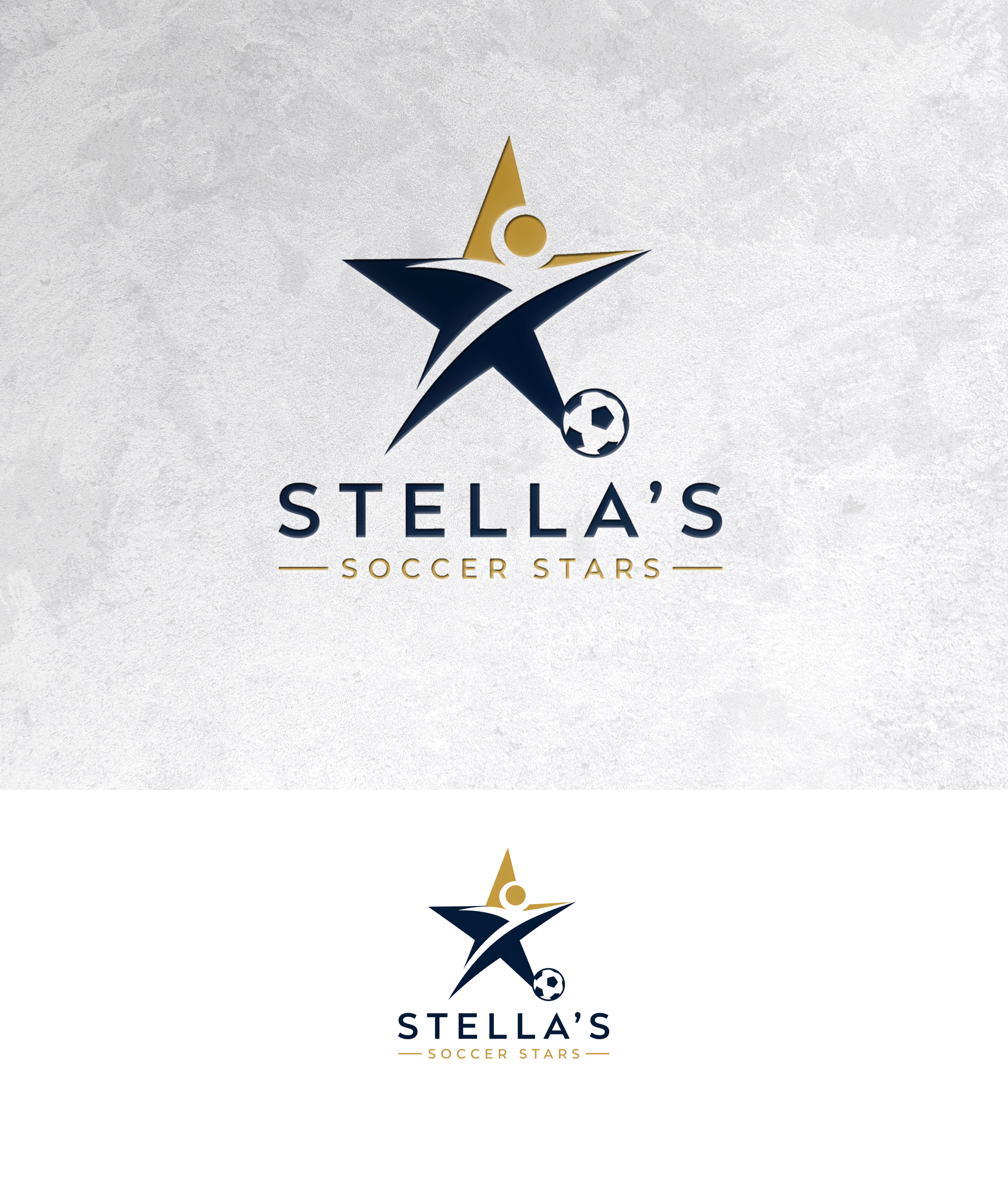 Logo Design by zamdi for Premier Venture Partners | Design #37439145