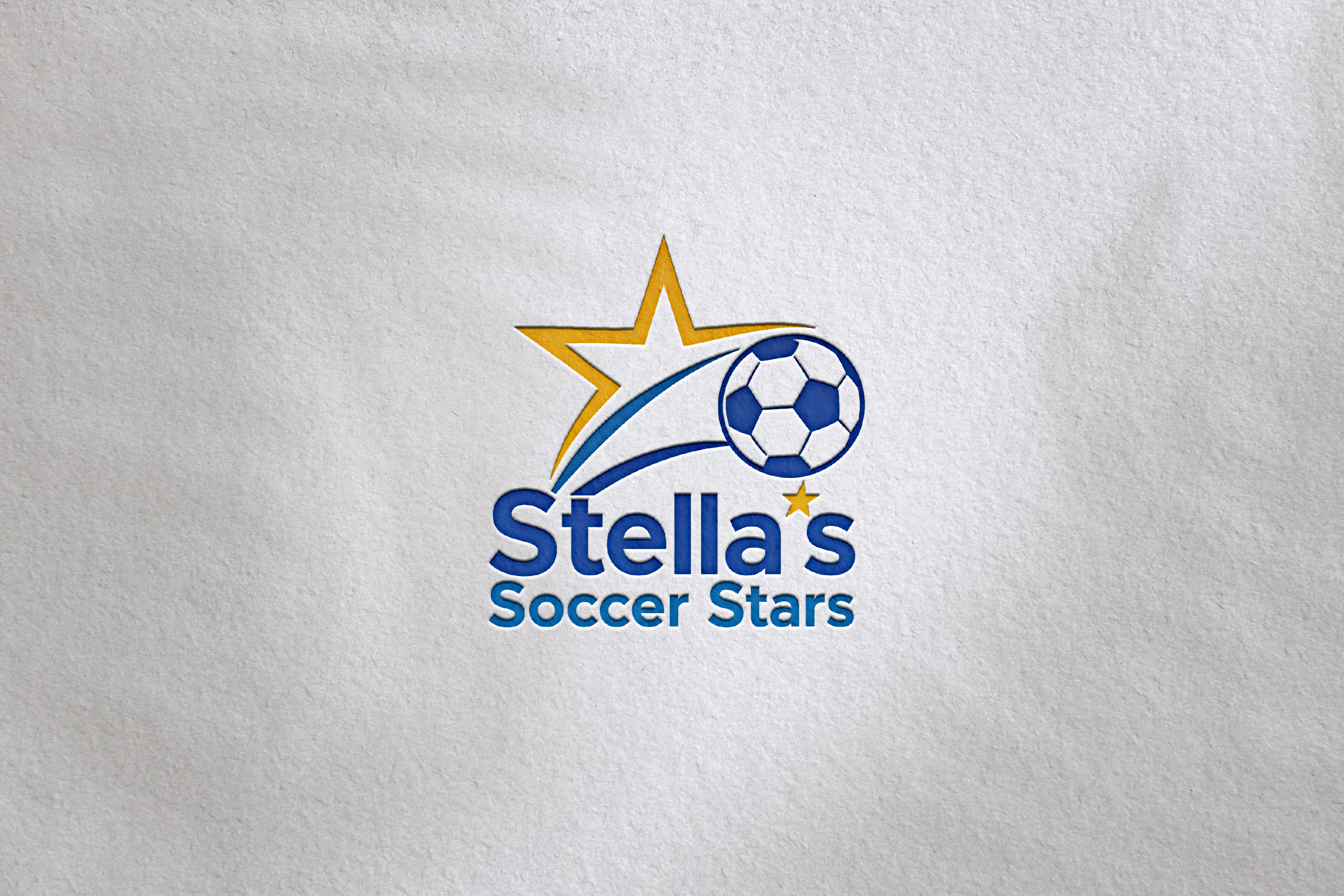 Logo Design by LogoNexa for Premier Venture Partners | Design #37428901