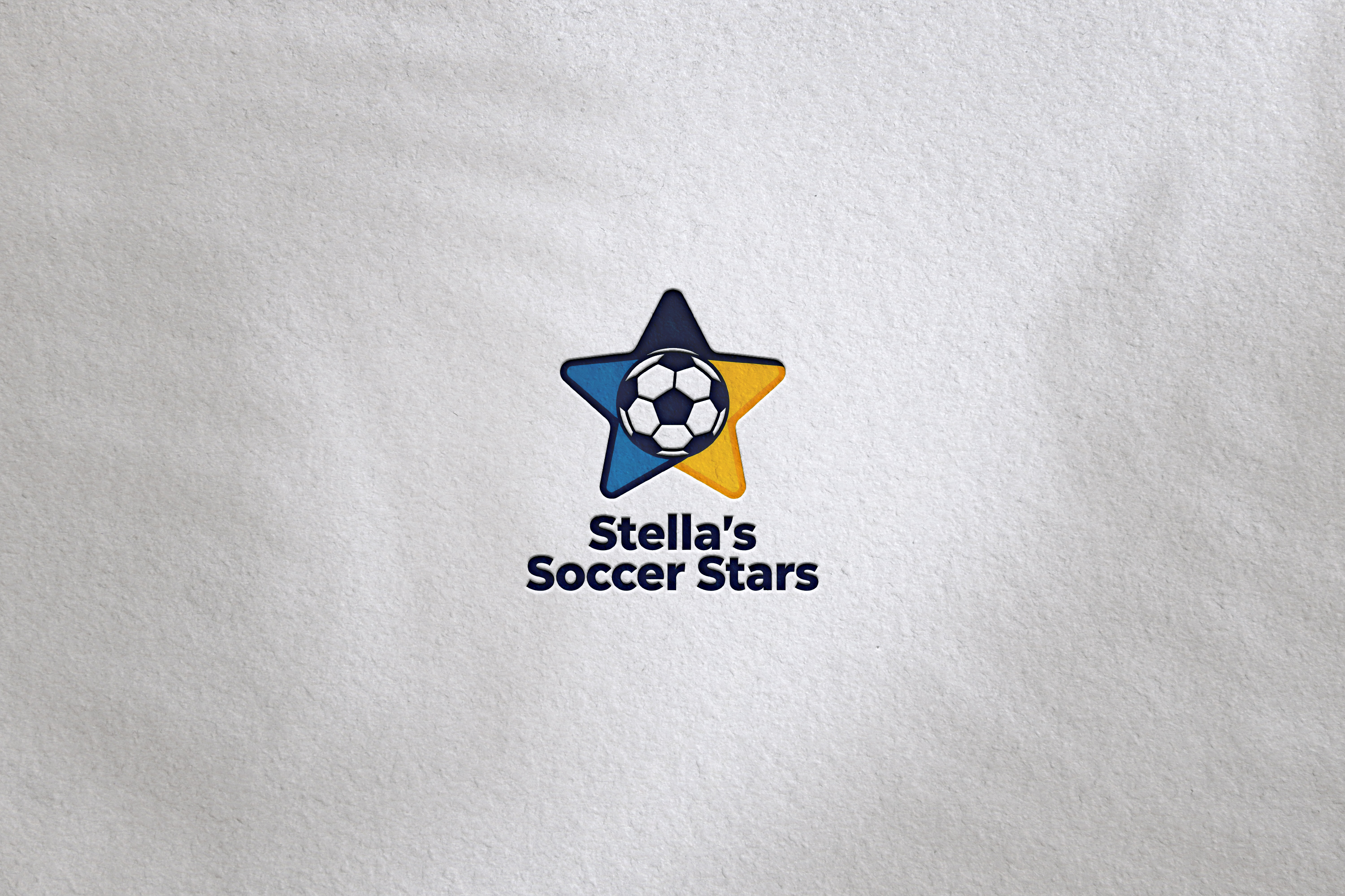 Logo Design by LogoNexa for Premier Venture Partners | Design #37428903
