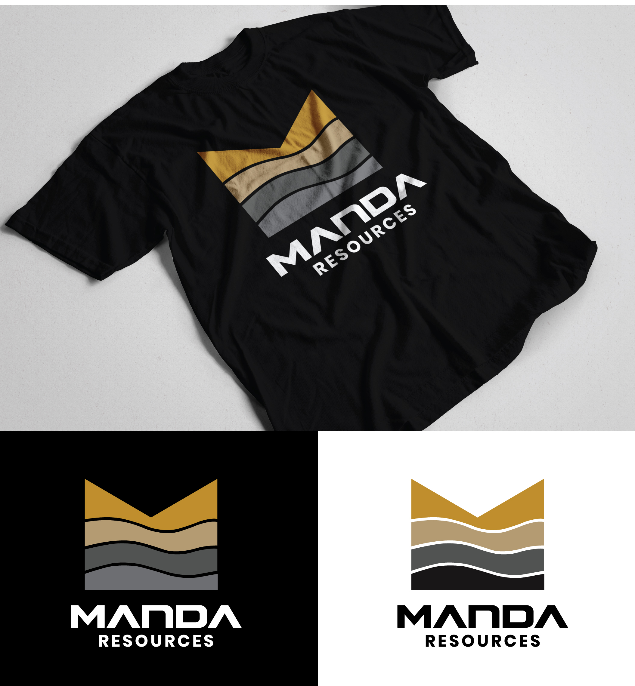 Logo Design by StromDesignHub for this project | Design #37423374